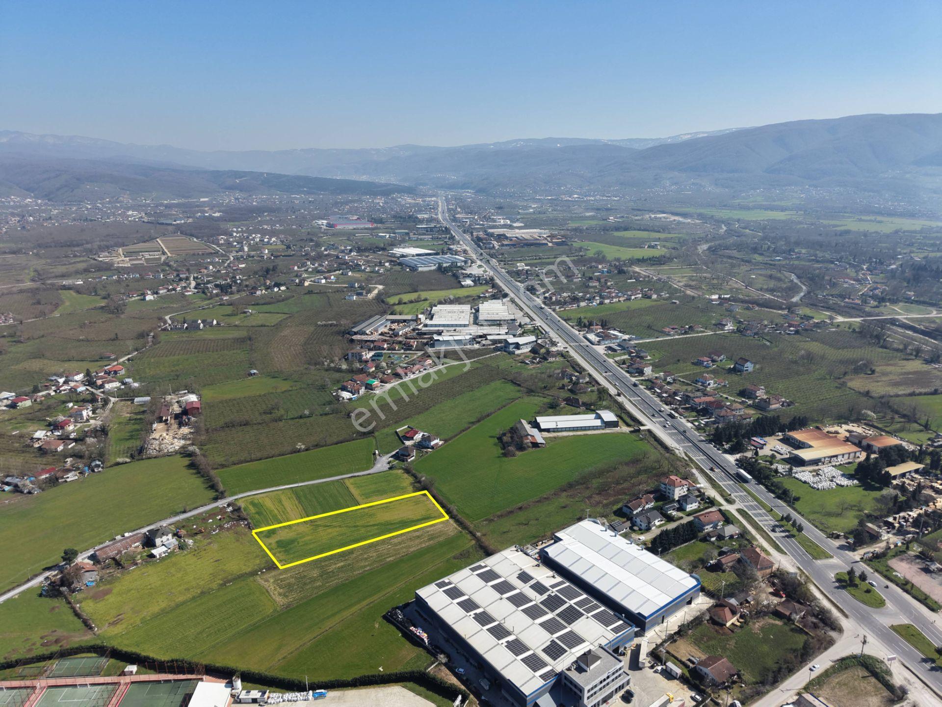 Gümüşpınar Mahallesi'nde D-100'e Çok Yakın 3695 M2 Satılık Ticari+konut İmarlı Arsa - Görsel 24