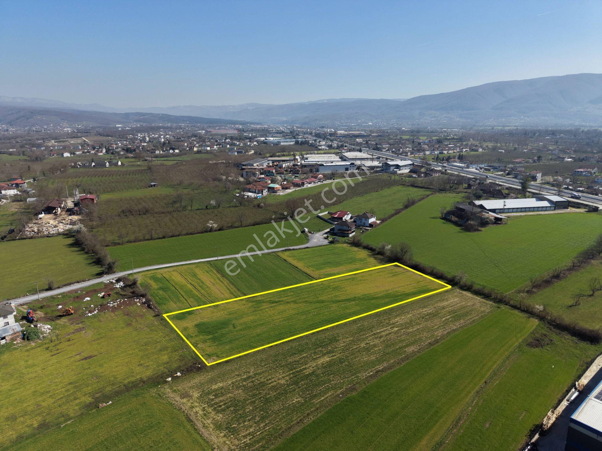 Gümüşpınar Mahallesi'nde D-100'e Çok Yakın 3695 M2 Satılık Ticari+konut İmarlı Arsa - Görsel 26