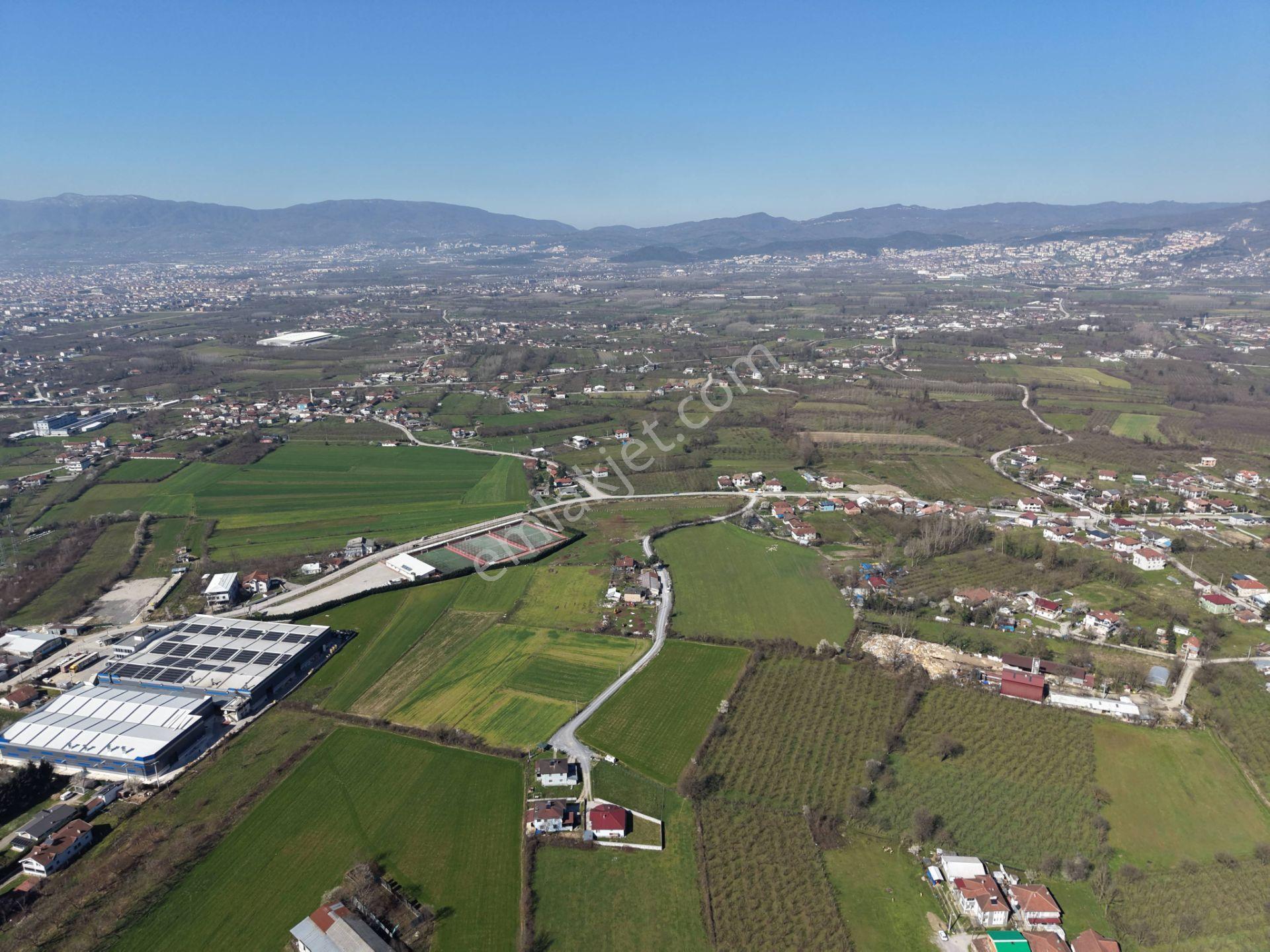 Gümüşpınar Mahallesi'nde D-100'e Çok Yakın 3695 M2 Satılık Ticari+konut İmarlı Arsa - Görsel 27