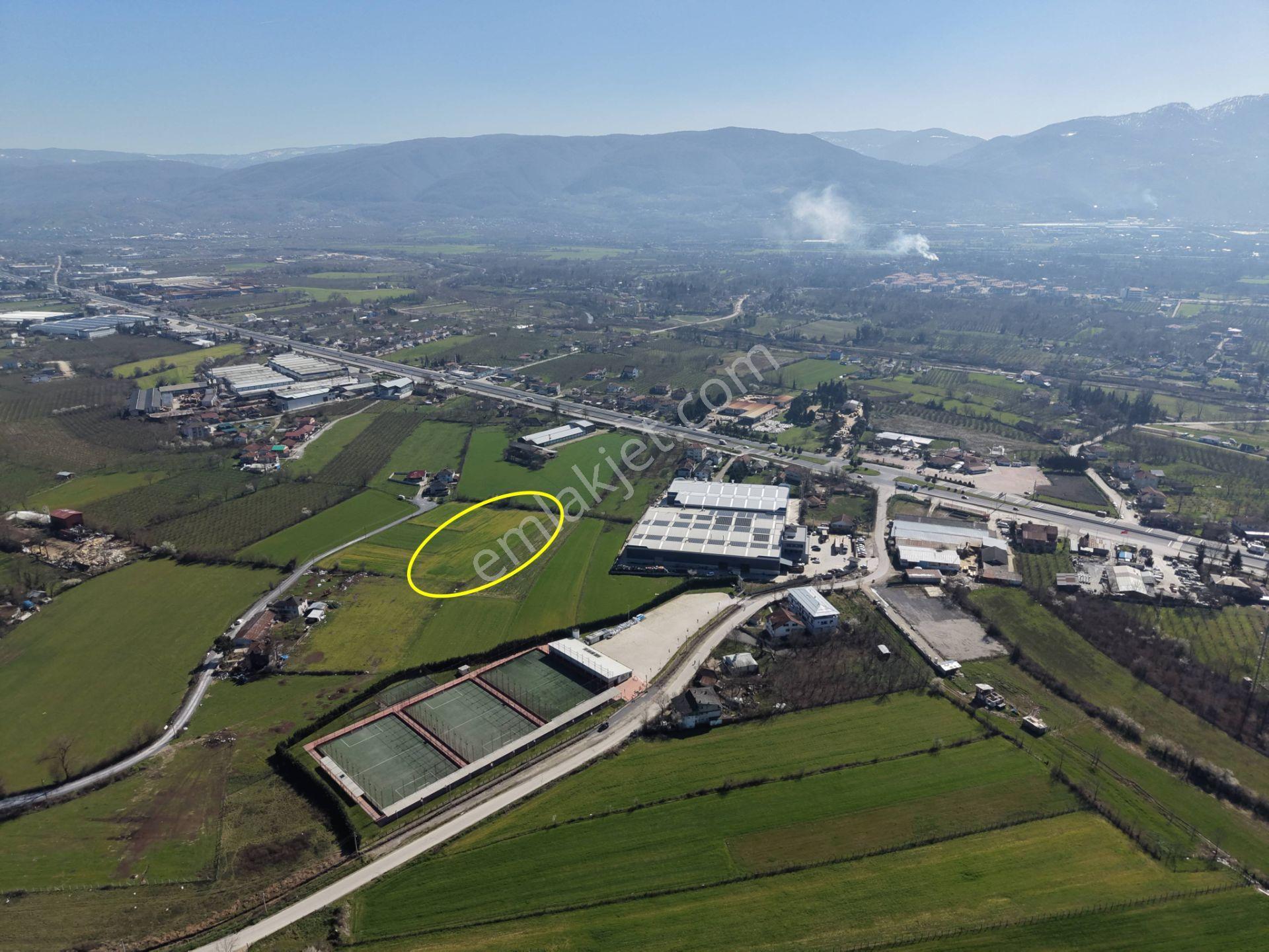 Gümüşpınar Mahallesi'nde D-100'e Çok Yakın 3695 M2 Satılık Ticari+konut İmarlı Arsa - Görsel 16