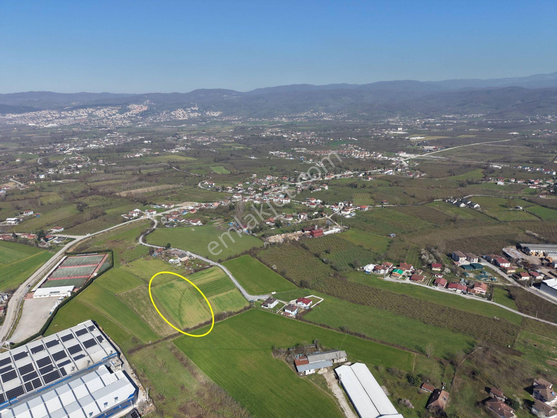 Gümüşpınar Mahallesi'nde D-100'e Çok Yakın 3695 M2 Satılık Ticari+konut İmarlı Arsa - Görsel 28