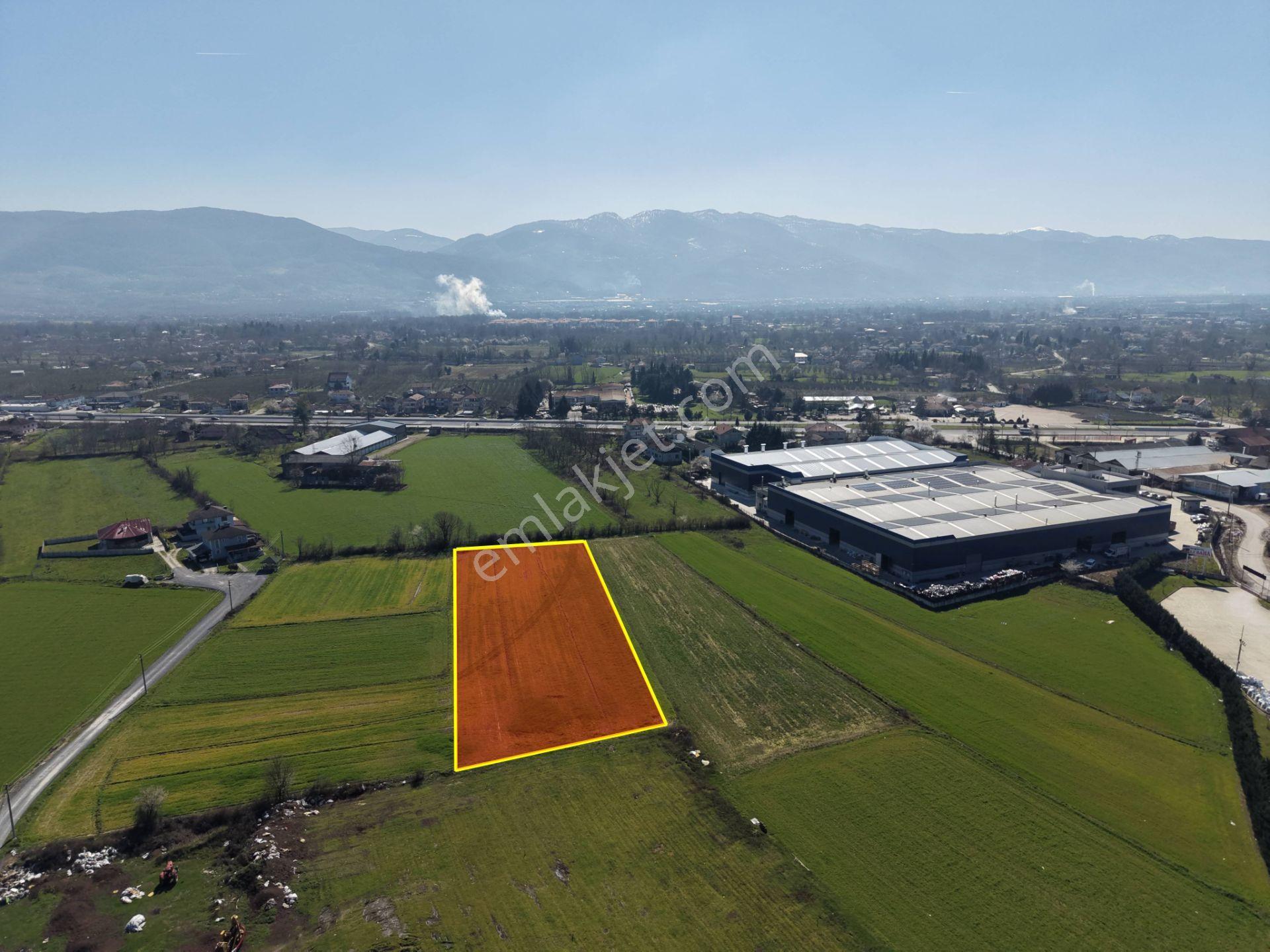 Gümüşpınar Mahallesi'nde D-100'e Çok Yakın 3695 M2 Satılık Ticari+konut İmarlı Arsa