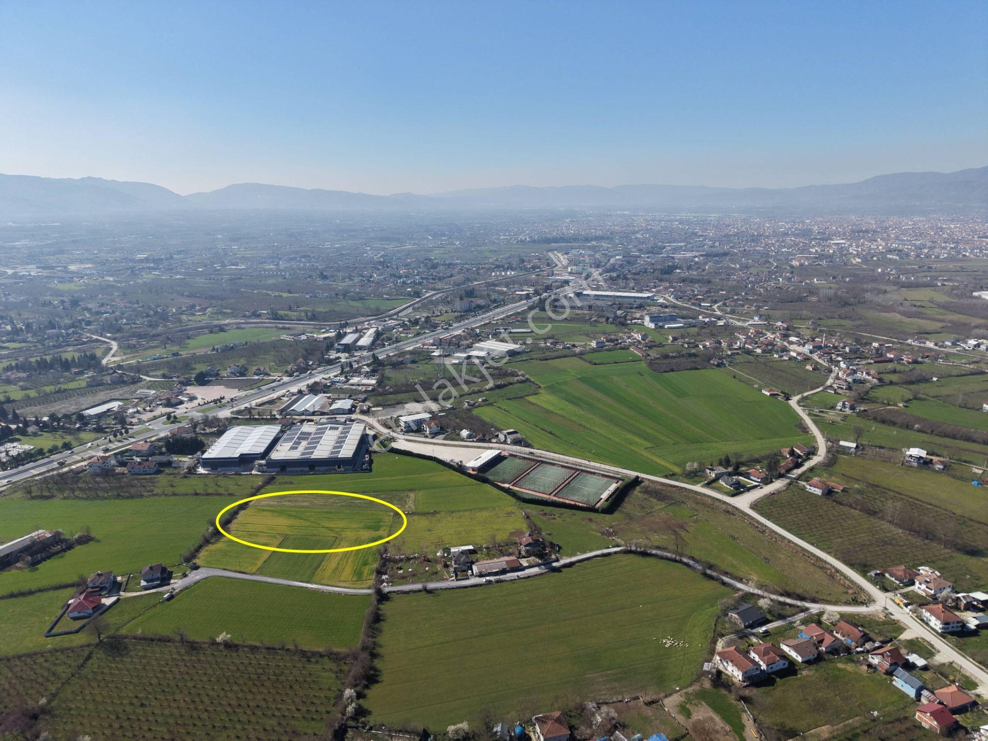 Gümüşpınar Mahallesi'nde D-100'e Çok Yakın 3695 M2 Satılık Ticari+konut İmarlı Arsa - Görsel 33