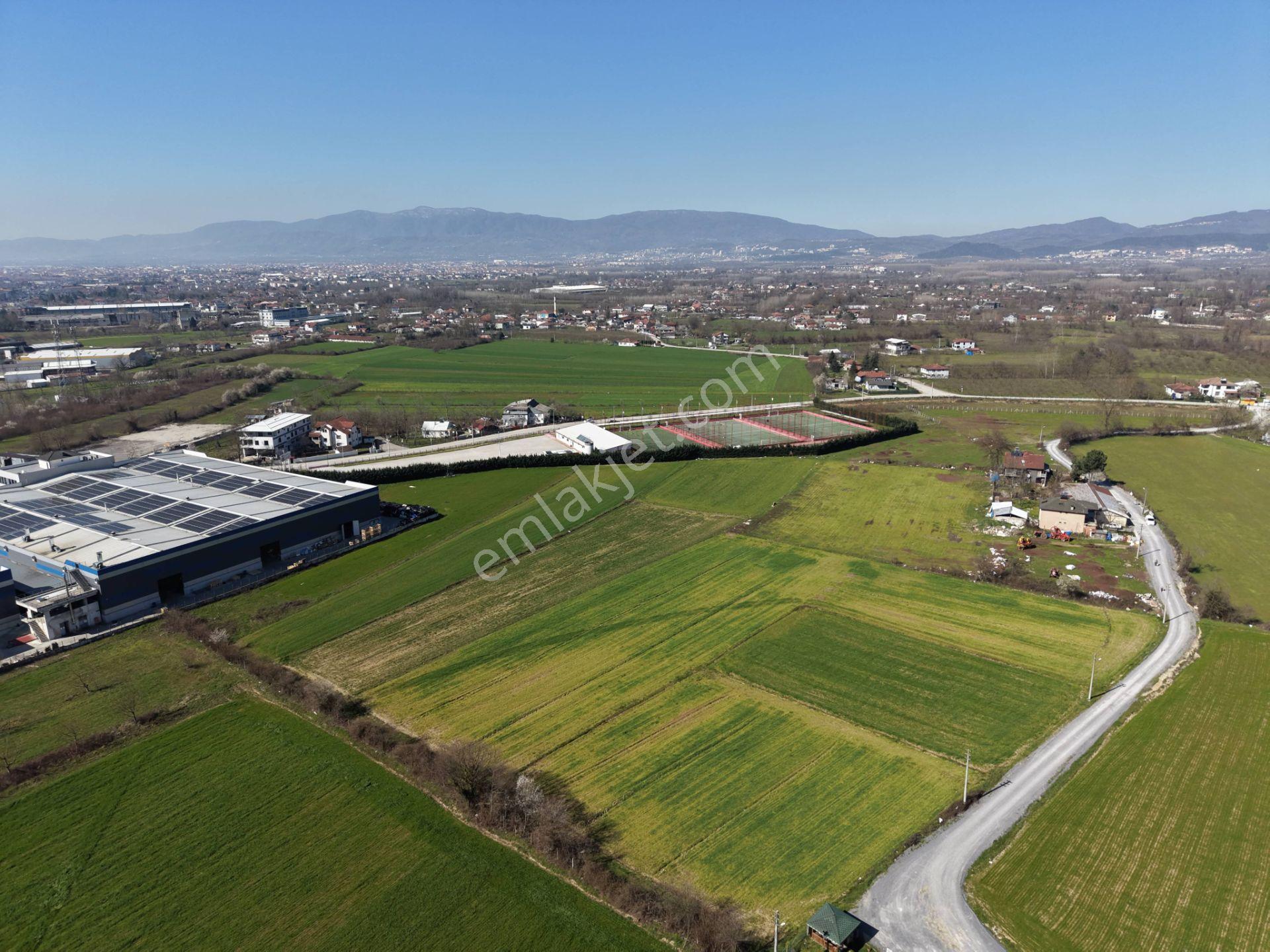 Gümüşpınar Mahallesi'nde D-100'e Çok Yakın 3695 M2 Satılık Ticari+konut İmarlı Arsa - Görsel 31