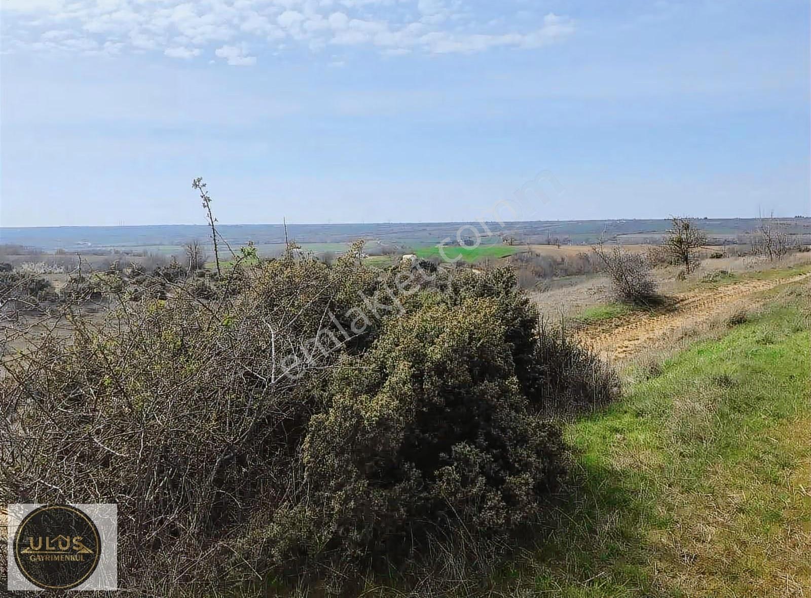 Babaeski Yeniköyde Satılık 2.900 M2 Bağ Tapulu - Görsel 4