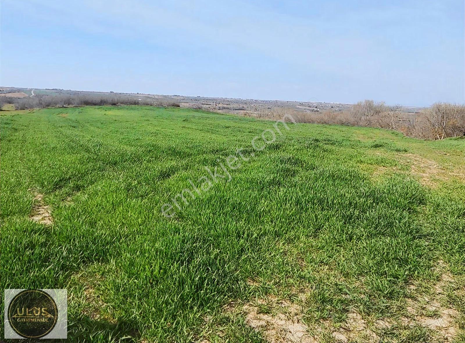 Babaeski Yeniköyde Satılık 2.900 M2 Bağ Tapulu