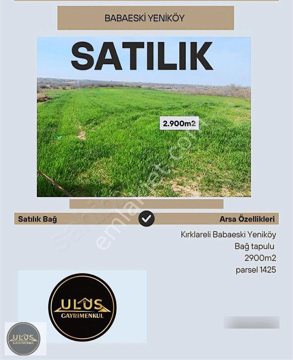 Babaeski Yeniköyde Satılık 2.900 M2 Bağ Tapulu - Görsel 3