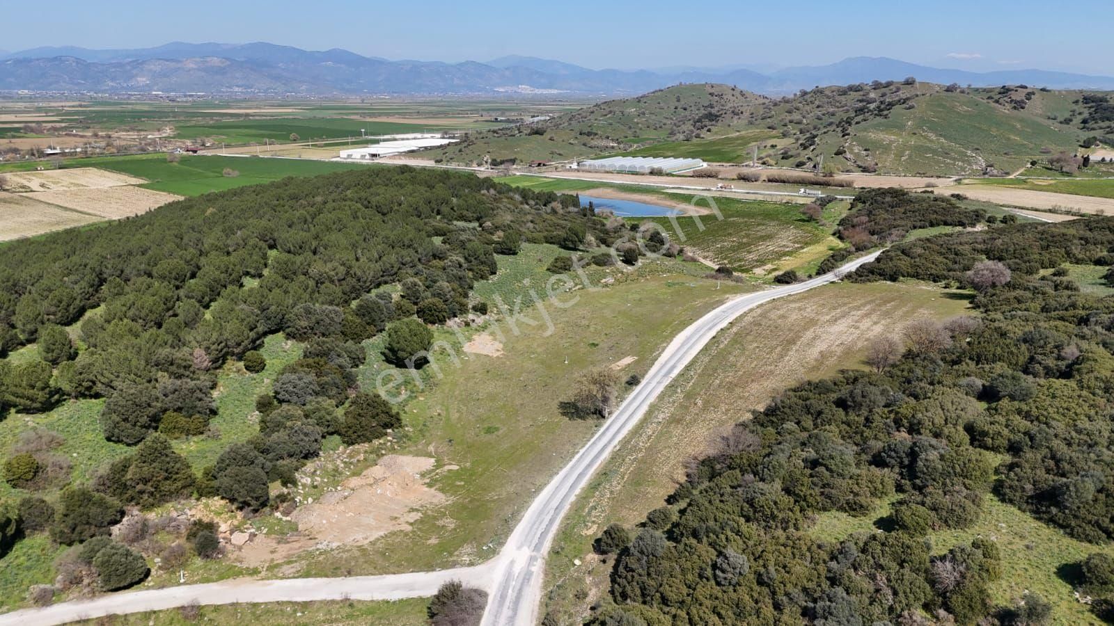 İzmir Tire Işıklar Köyü Yol Kenarı 7.700 M² Tarla – Villa Bölgesi - Görsel 5