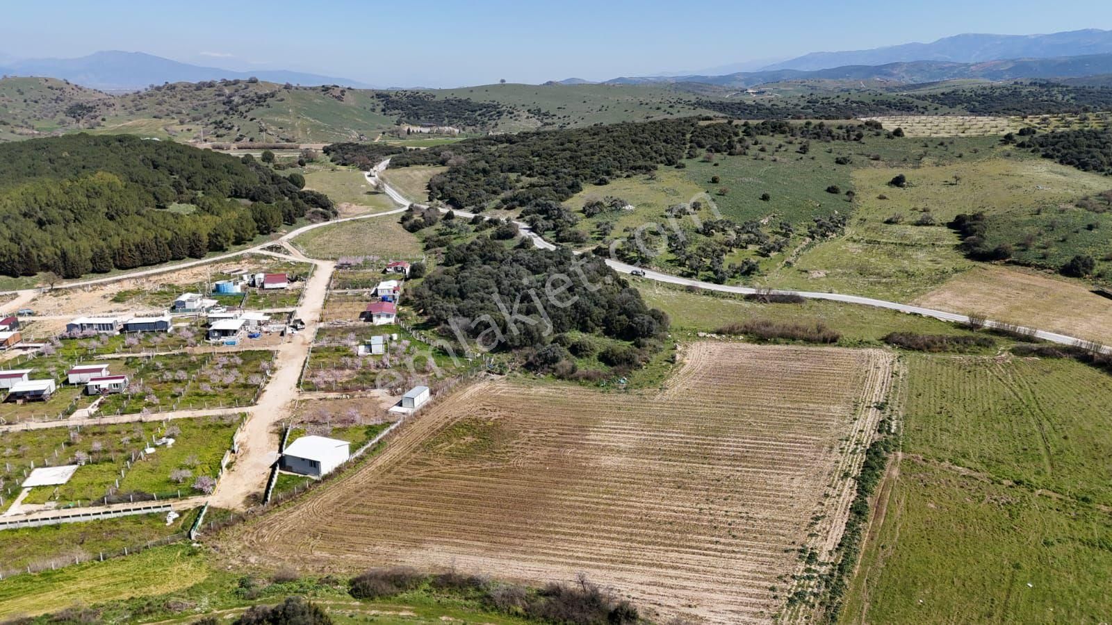 İzmir Tire Işıklar Köyü Yol Kenarı 7.700 M² Tarla – Villa Bölgesi - Görsel 6