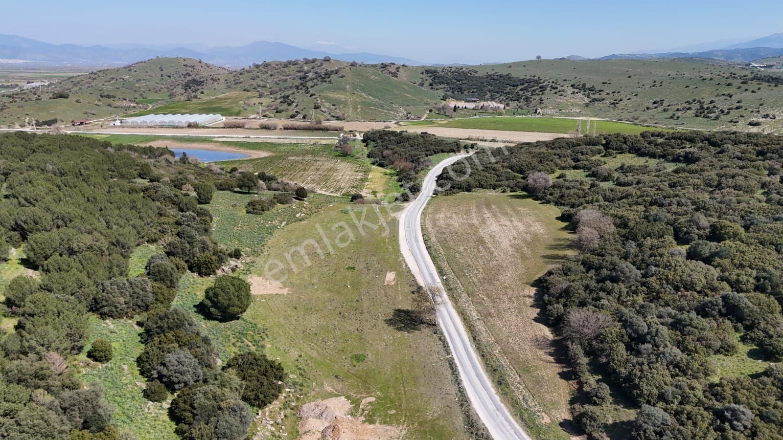 İzmir Tire Işıklar Köyü Yol Kenarı 7.700 M² Tarla – Villa Bölgesi - Görsel 10