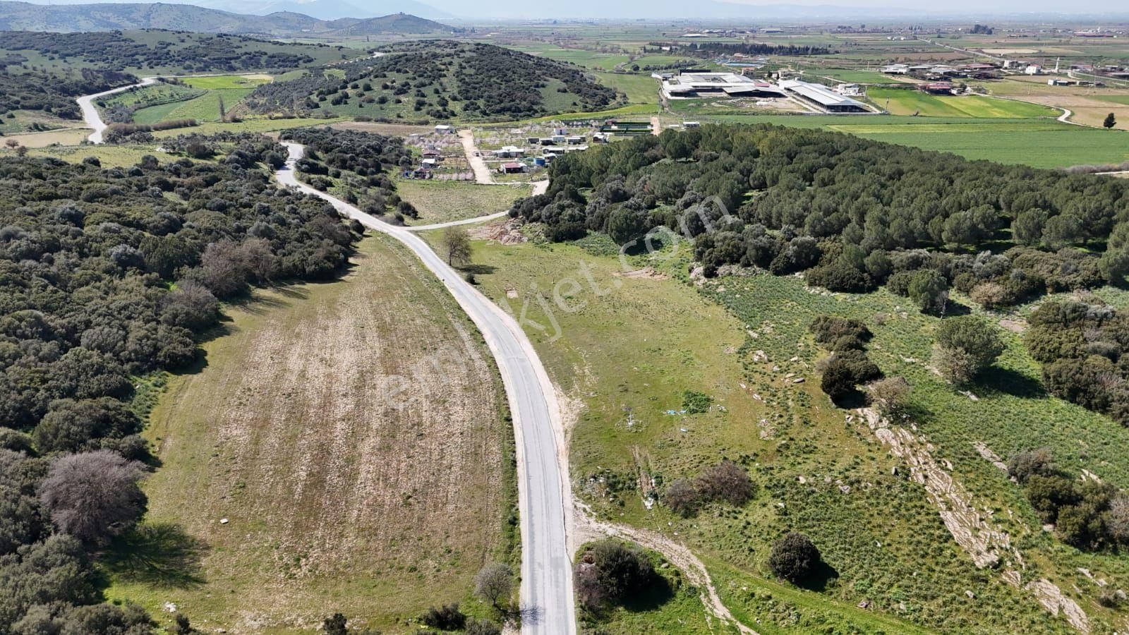 İzmir Tire Işıklar Köyü Yol Kenarı 7.700 M² Tarla – Villa Bölgesi - Görsel 12