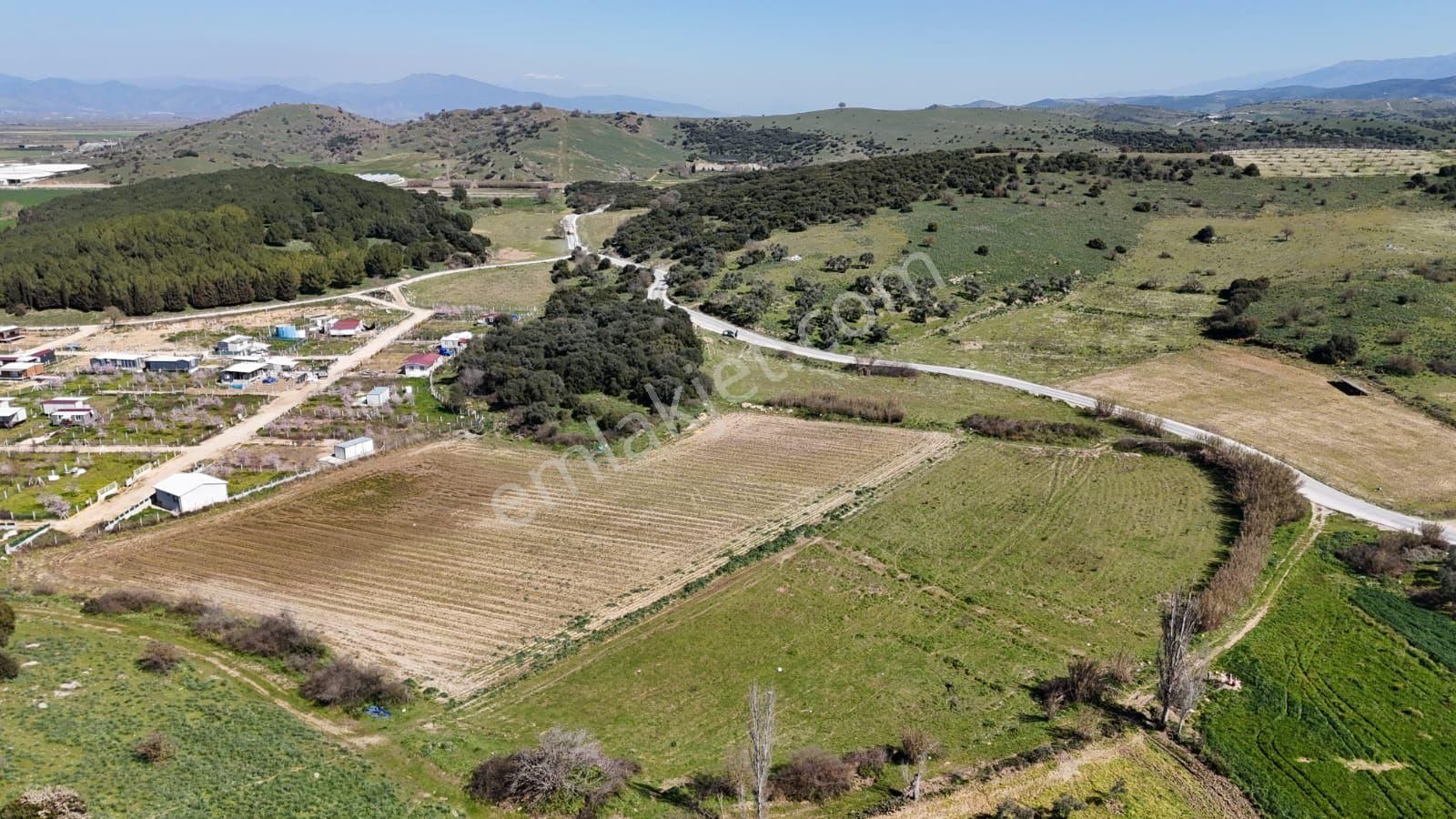 İzmir Tire Işıklar Köyü Yol Kenarı 7.700 M² Tarla – Villa Bölgesi - Görsel 8