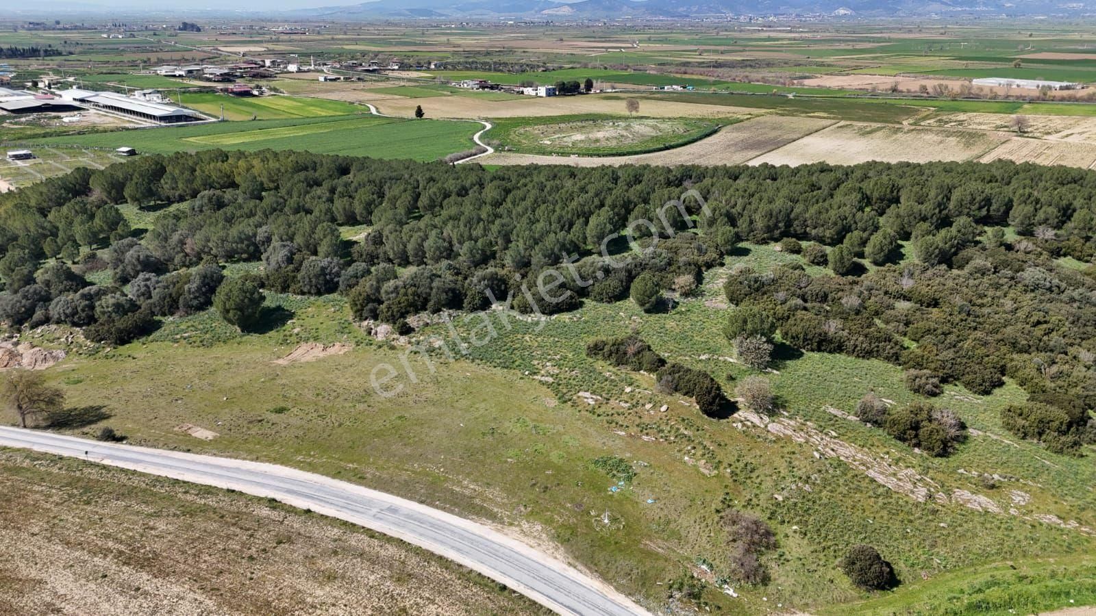 İzmir Tire Işıklar Köyü Yol Kenarı 7.700 M² Tarla – Villa Bölgesi - Görsel 19