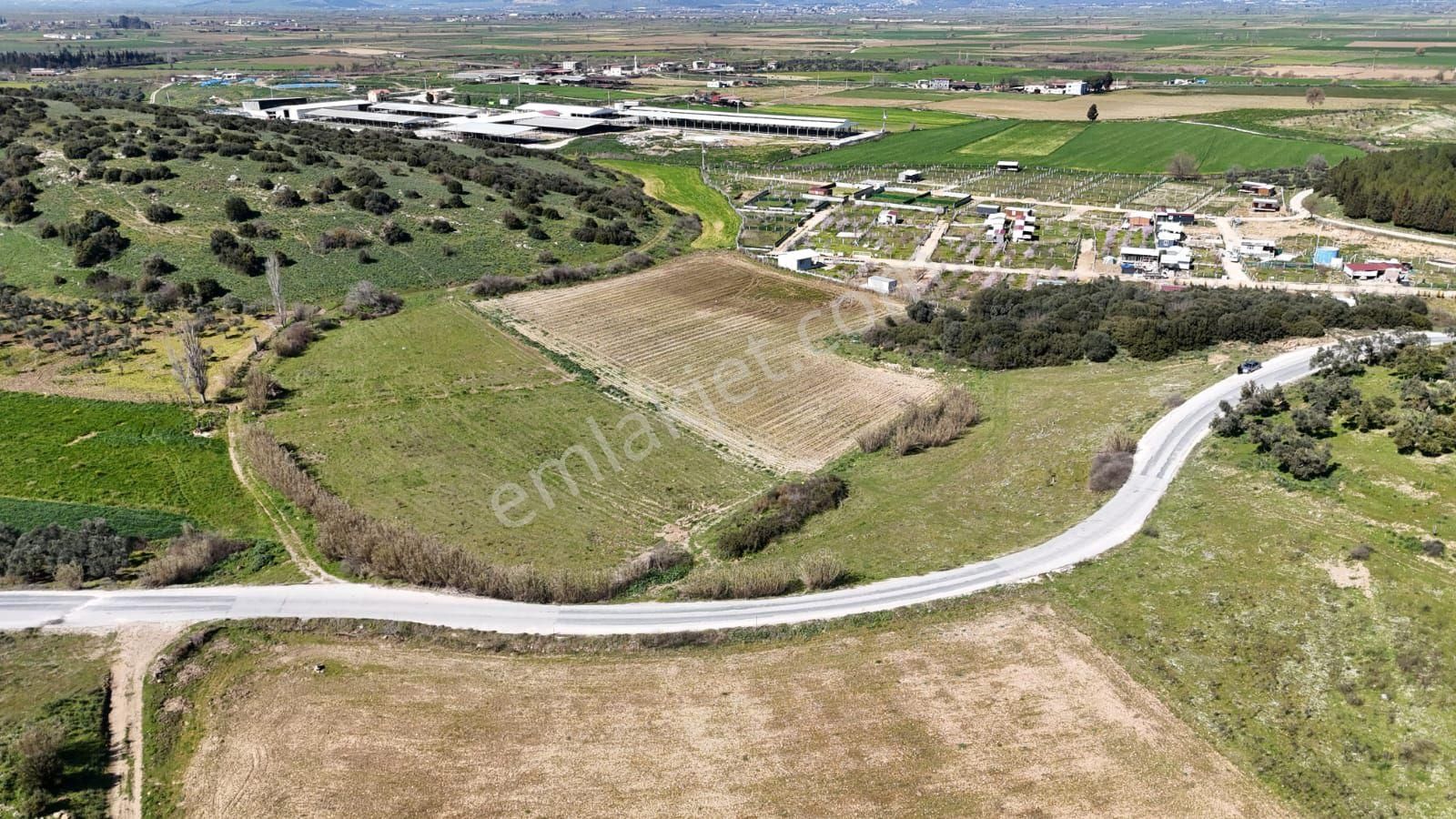 “izmir Tire Işıklar Köyü Yol Kenarı 3.500 M² Tarla – Villa Bölgesi” - Görsel 4