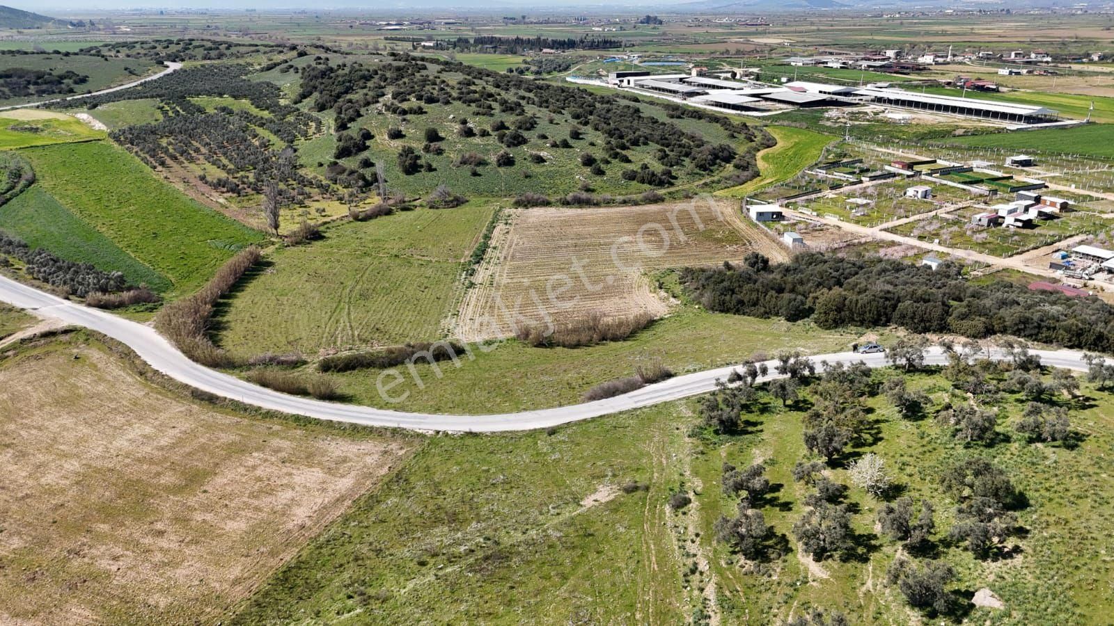 “izmir Tire Işıklar Köyü Yol Kenarı 3.500 M² Tarla – Villa Bölgesi” - Görsel 2