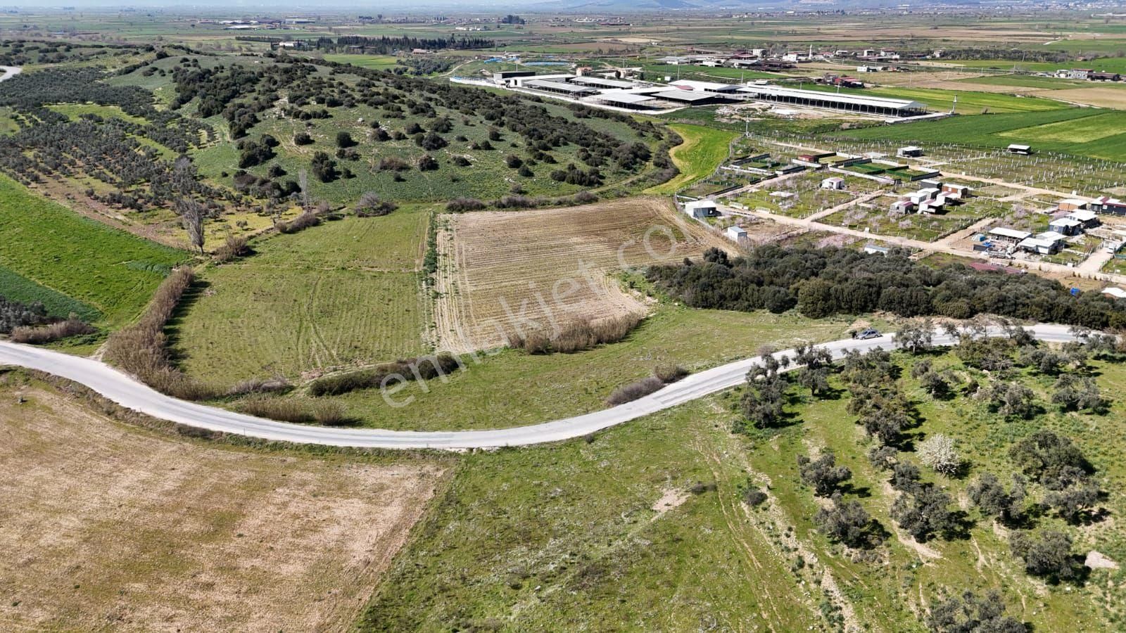 İzmir Tire Işıklar Köyü Yol Kenarı 17.700 M² Verimli Tarla – Villa Komşuluğu