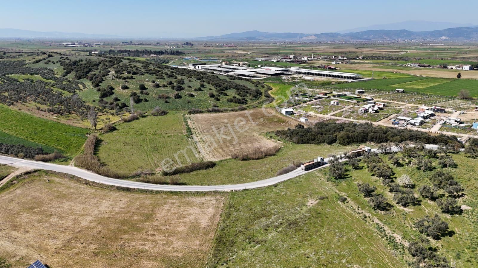 İzmir Tire Işıklar Köyü Yol Kenarı 17.700 M² Verimli Tarla – Villa Komşuluğu - Görsel 19