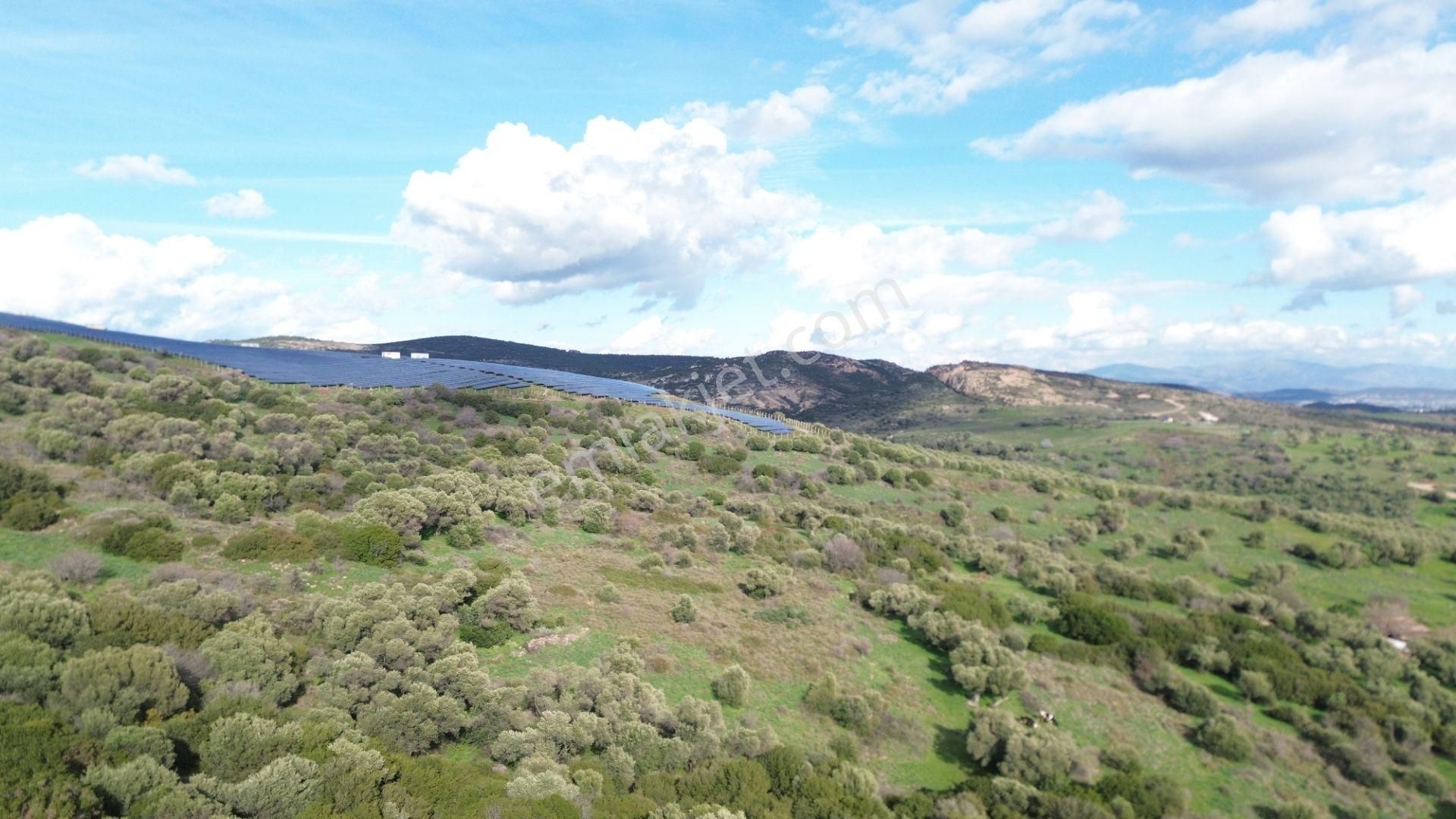 Turyap Foça'dan Ana Yola Yakın Satılık Kaçırılmaz Fırsat Arazi - Görsel 2