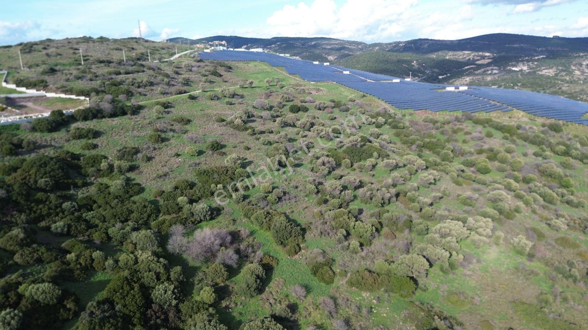 Turyap Foça'dan Ana Yola Yakın Satılık Kaçırılmaz Fırsat Arazi - Görsel 8