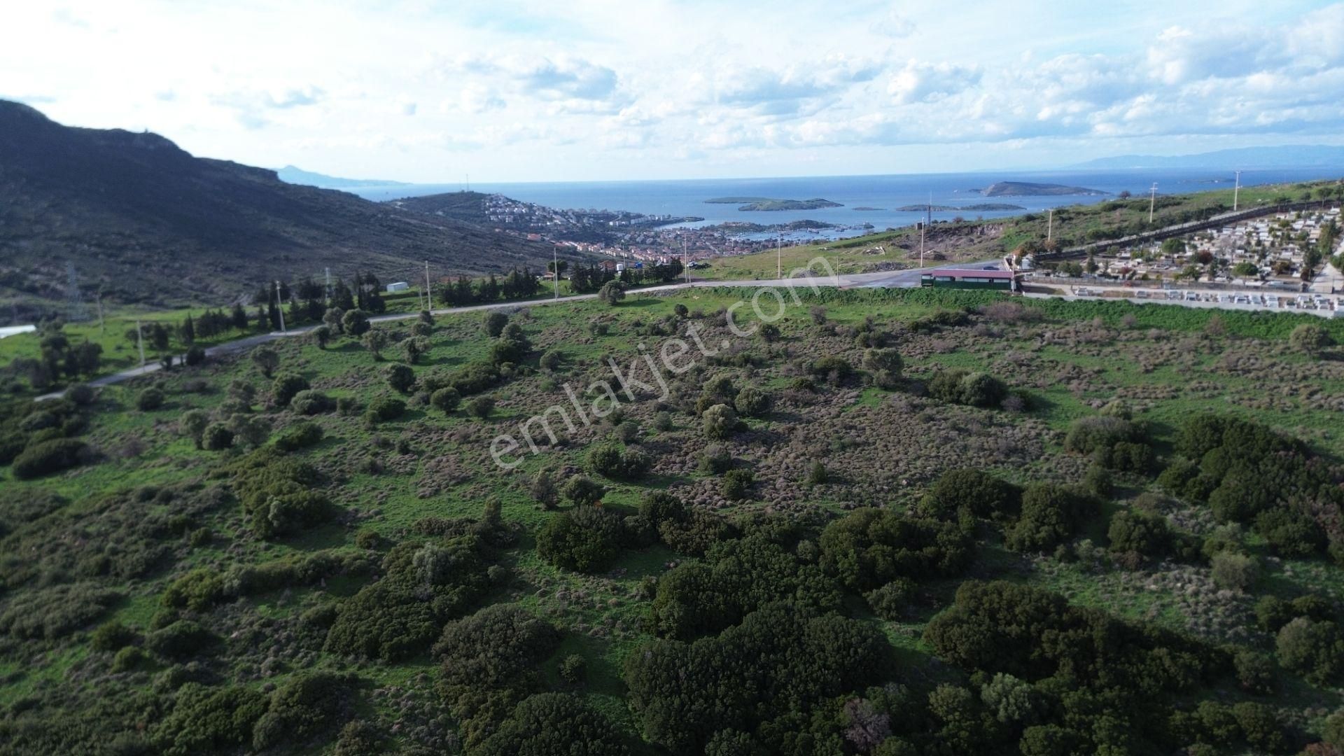 Turyap Foça'dan Ana Yola Yakın Satılık Kaçırılmaz Fırsat Arazi - Görsel 12