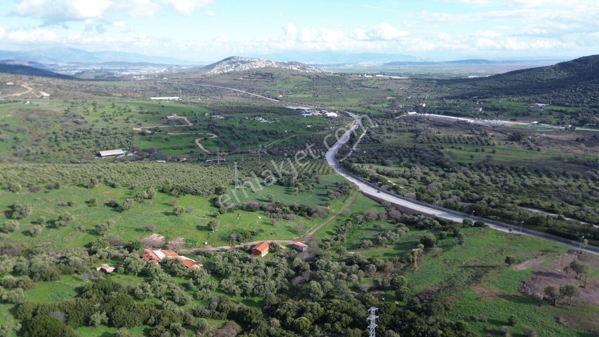 Turyap Foça'dan Ana Yola Yakın Satılık Kaçırılmaz Fırsat Arazi - Görsel 9