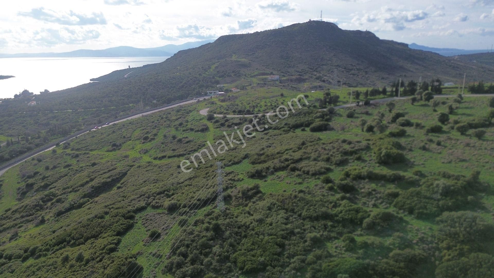 Turyap Foça'dan Ana Yola Yakın Satılık Kaçırılmaz Fırsat Arazi - Görsel 10