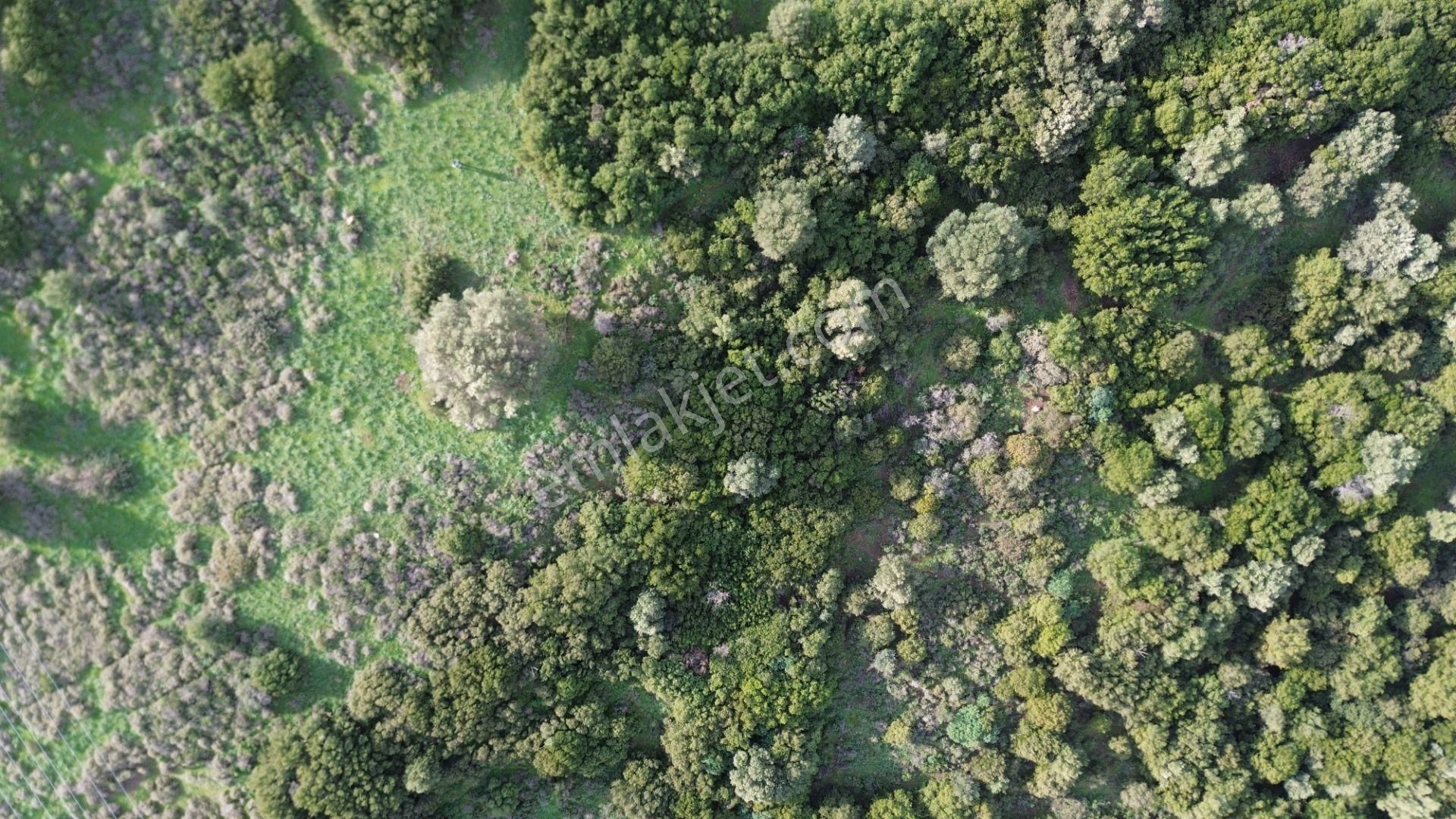 Turyap Foça'dan Ana Yola Yakın Satılık Kaçırılmaz Fırsat Arazi - Görsel 14