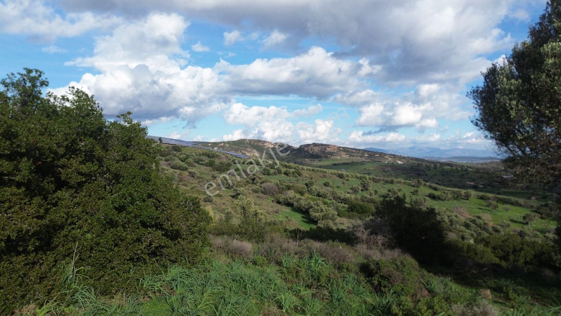 Turyap Foça'dan Ana Yola Yakın Satılık Kaçırılmaz Fırsat Arazi - Görsel 13