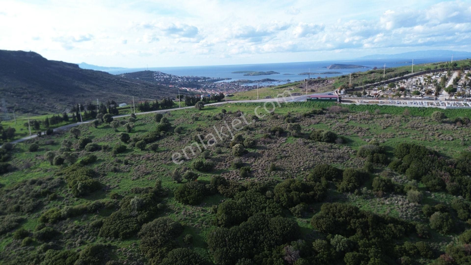 Turyap Foça'dan Ana Yola Yakın Satılık Kaçırılmaz Fırsat Arazi - Görsel 11