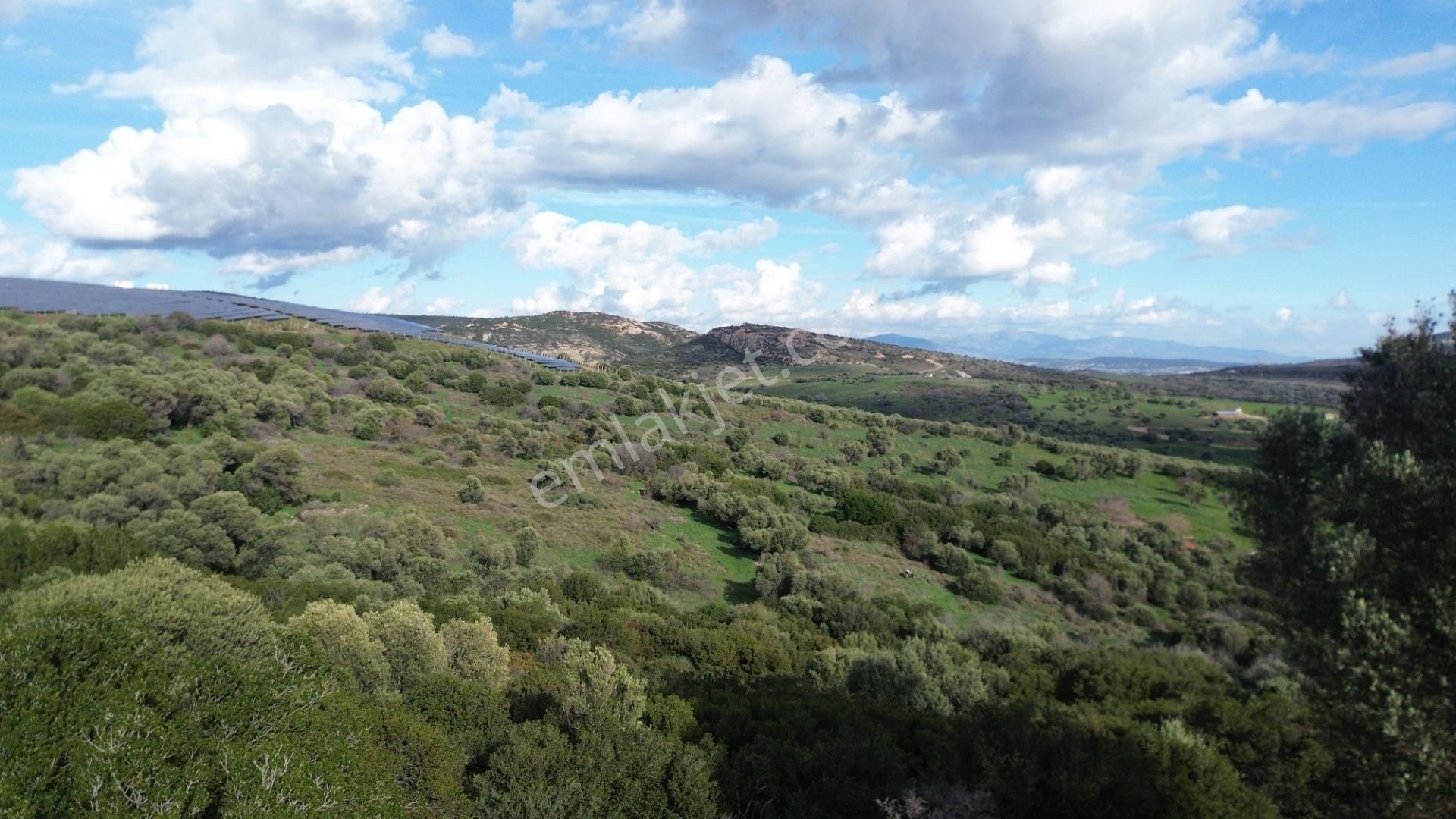 Turyap Foça'dan Ana Yola Yakın Satılık Kaçırılmaz Fırsat Arazi - Görsel 17