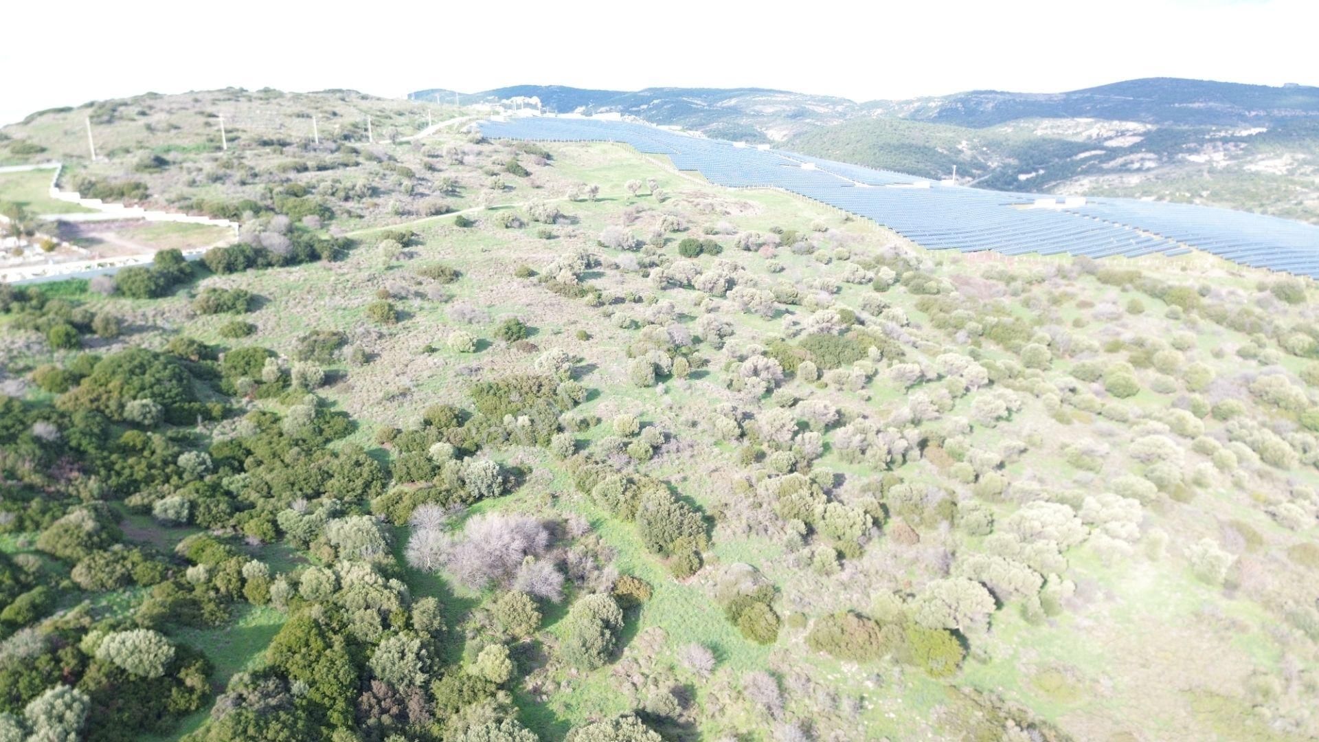 Turyap Foça'dan Ana Yola Yakın Satılık Kaçırılmaz Fırsat Arazi - Görsel 7