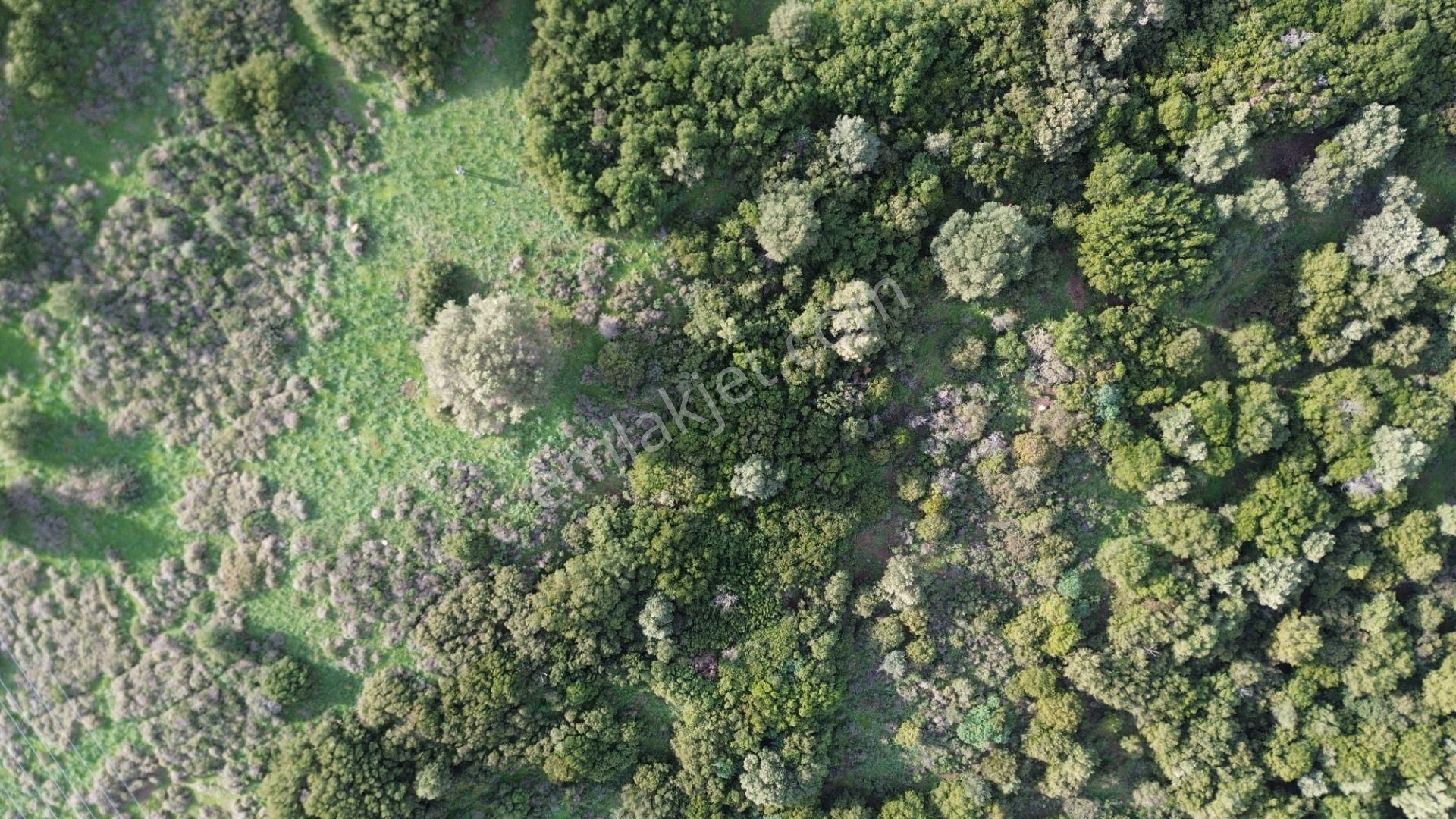 Turyap Foça'dan Ana Yola Yakın Satılık Kaçırılmaz Fırsat Arazi - Görsel 15