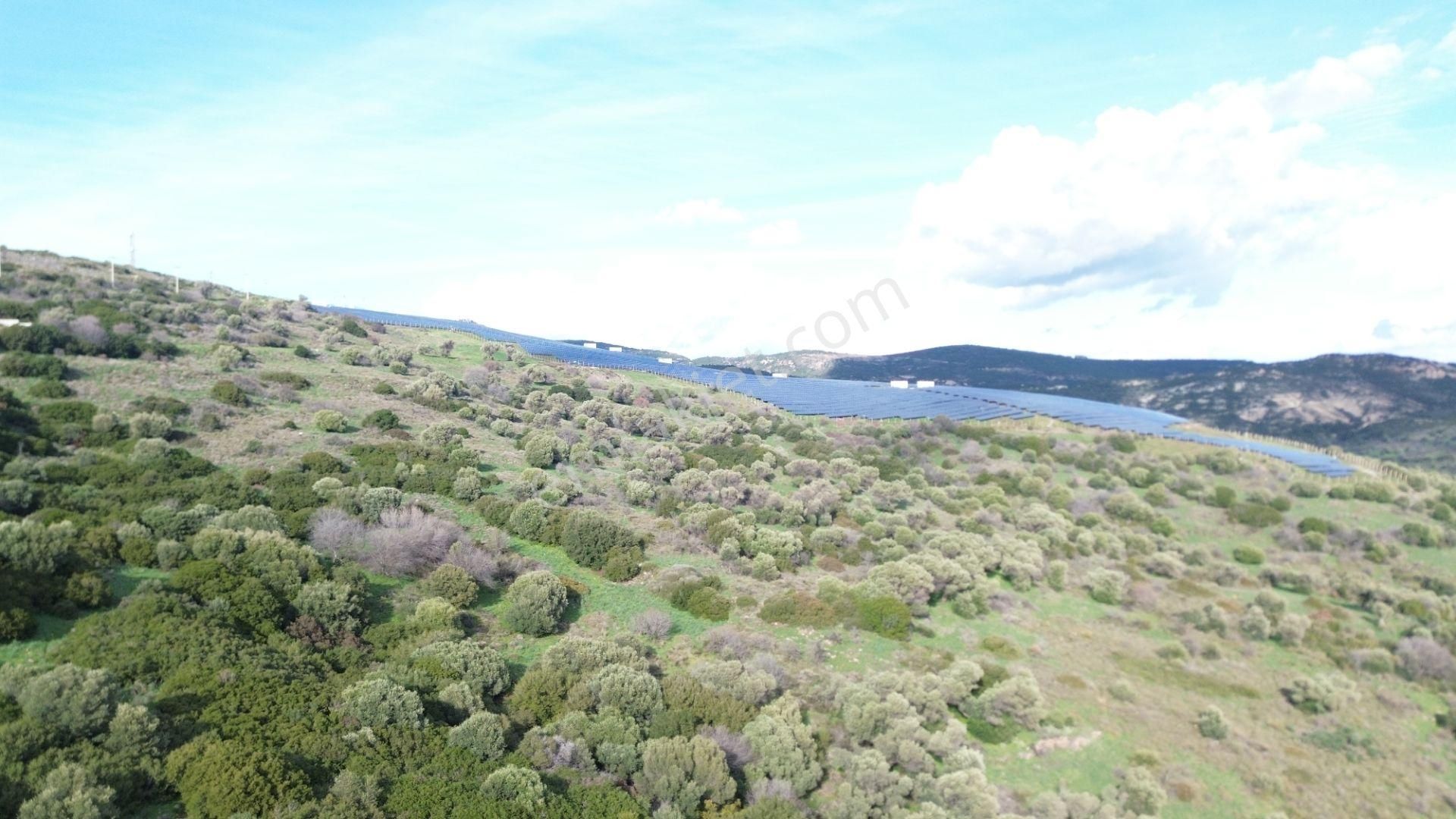 Turyap Foça'dan Ana Yola Yakın Satılık Kaçırılmaz Fırsat Arazi - Görsel 3