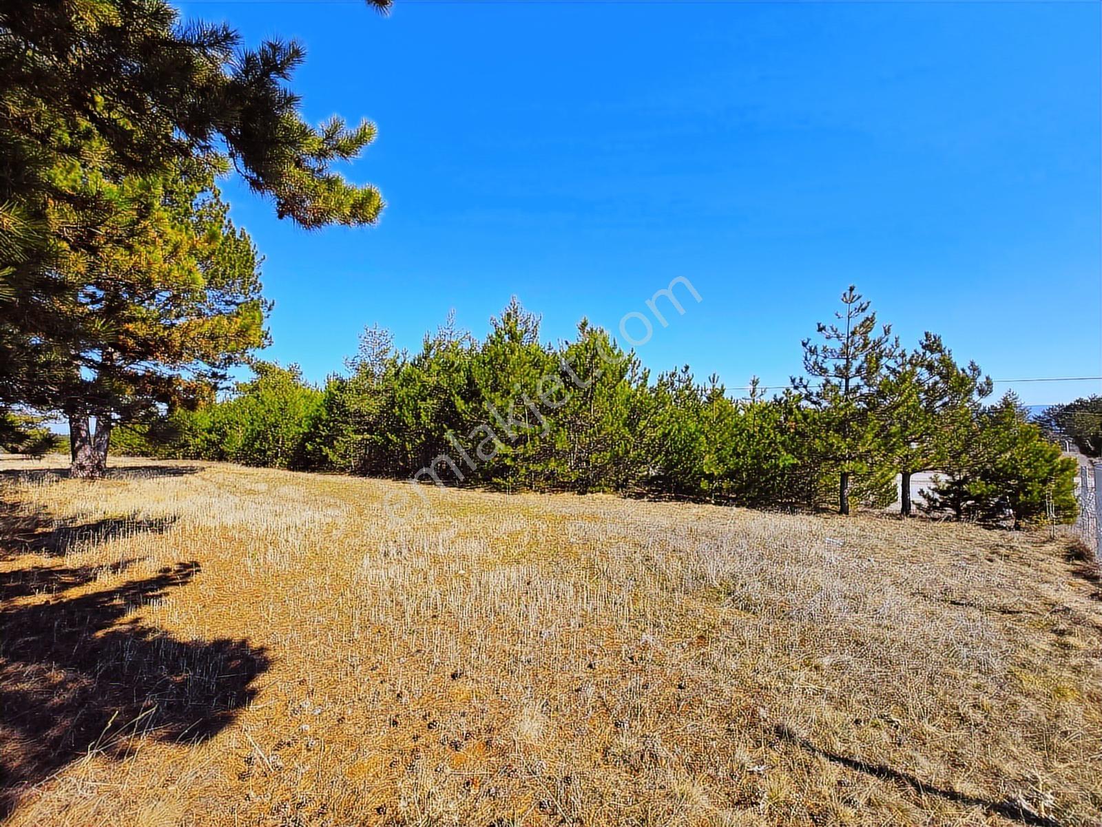 Garanti Emlak'tan, Ankara Yoluna Cepheli, 900 M2 İmarlı Arsa - Görsel 20