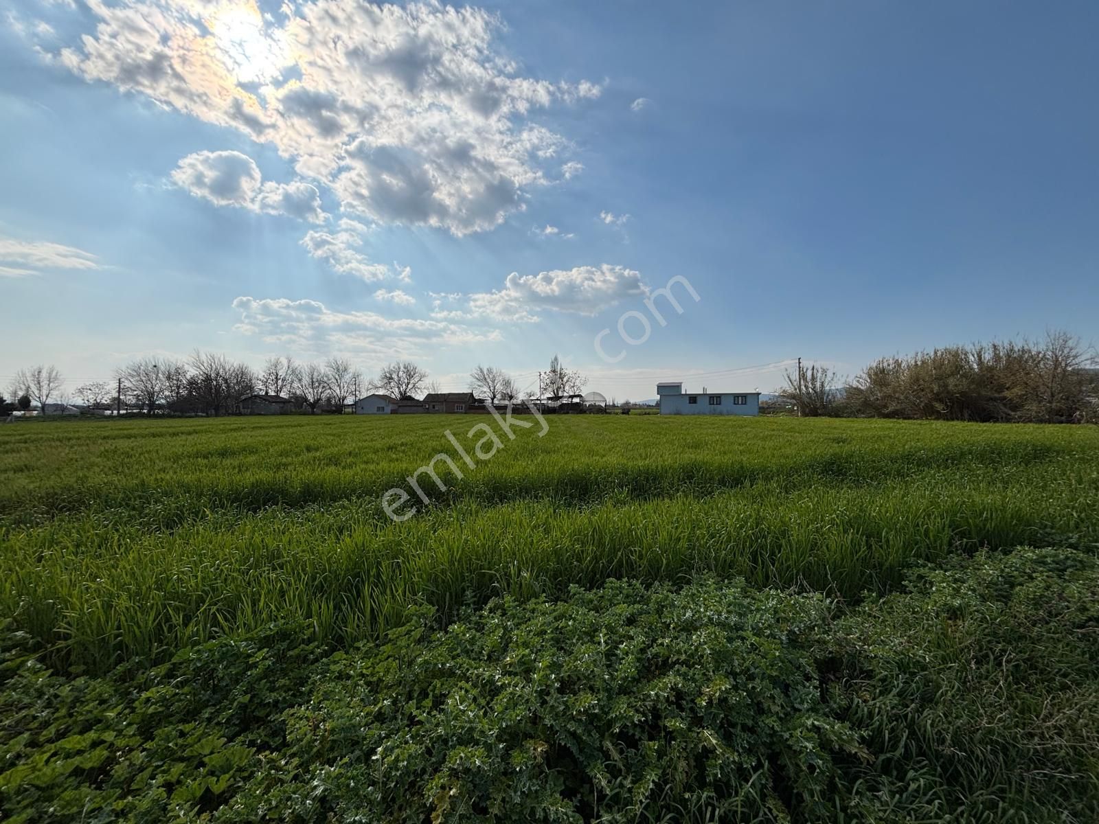 Bayındır Elifli'de Konut İmarlı Müstakil Parsel, Tek Tapu Arsalar Satılıktır - Görsel 13