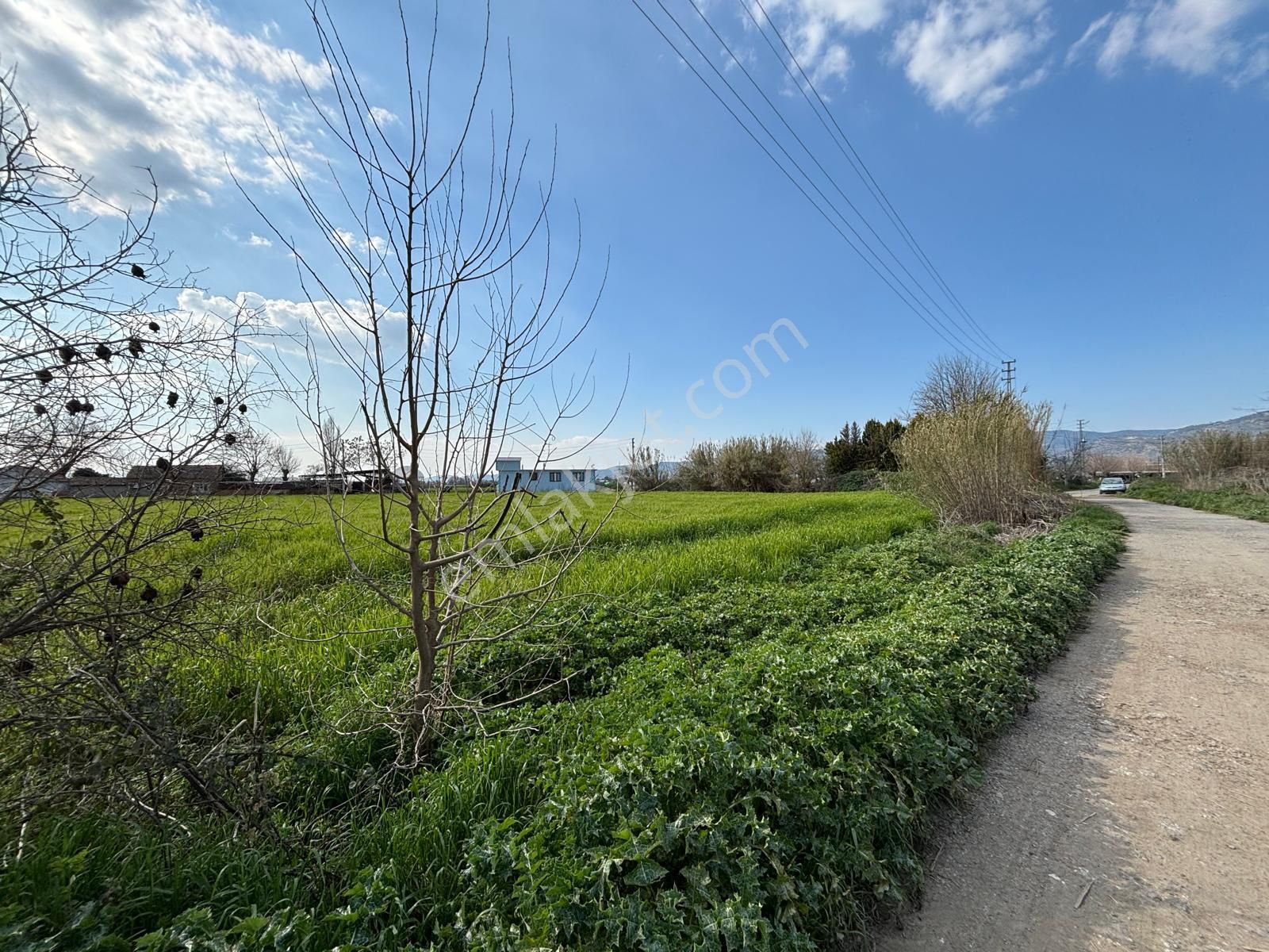 Bayındır Elifli'de Konut İmarlı Müstakil Parsel, Tek Tapu Arsalar Satılıktır - Görsel 7