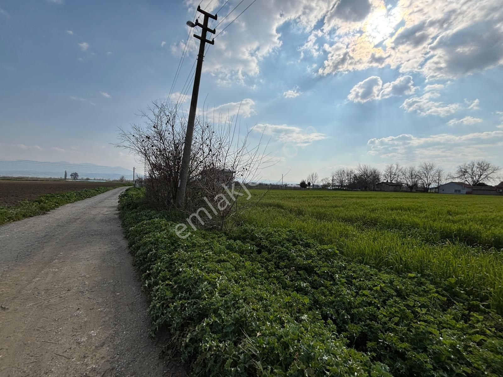 Bayındır Elifli'de Konut İmarlı Müstakil Parsel, Tek Tapu Arsalar Satılıktır - Görsel 5