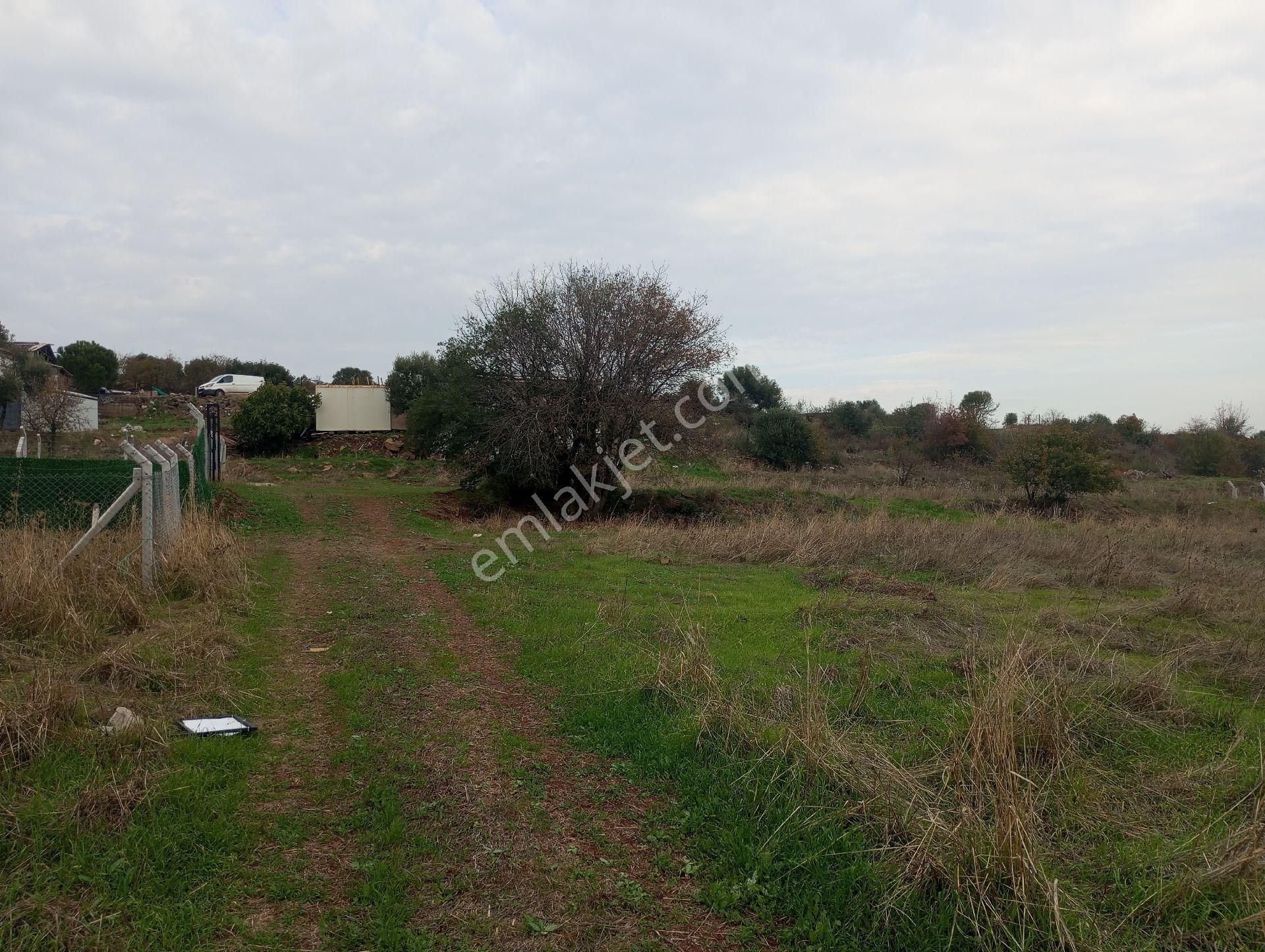 Foça Bağarasında Satılık Arsa - Görsel 3