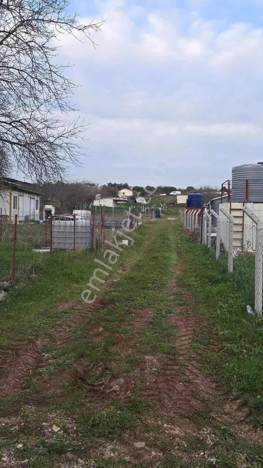 Foça Bağarasında Satılık Arsa - Görsel 2