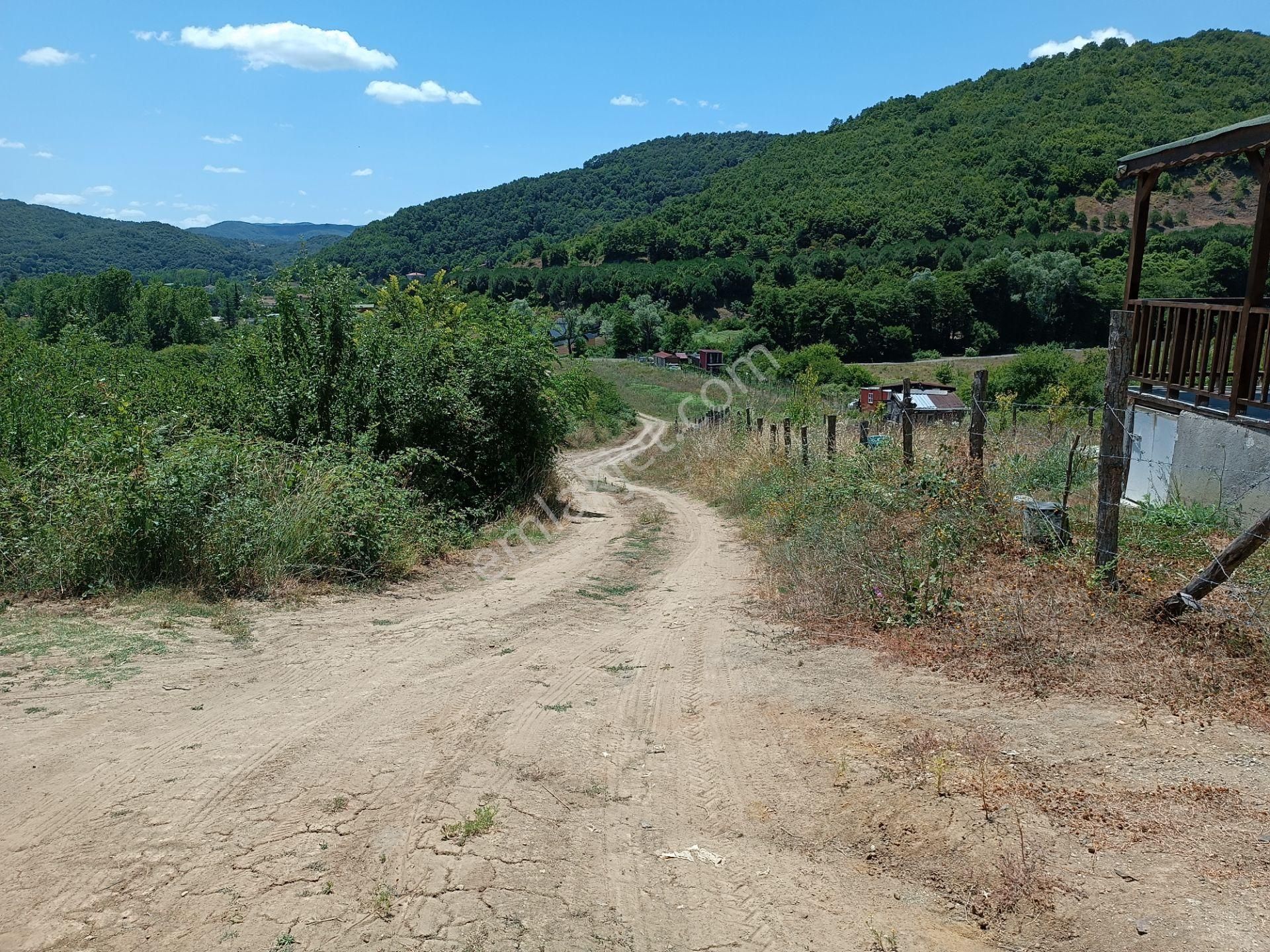 Şile Agva İsaköyde 580 Metrekare - Görsel 16