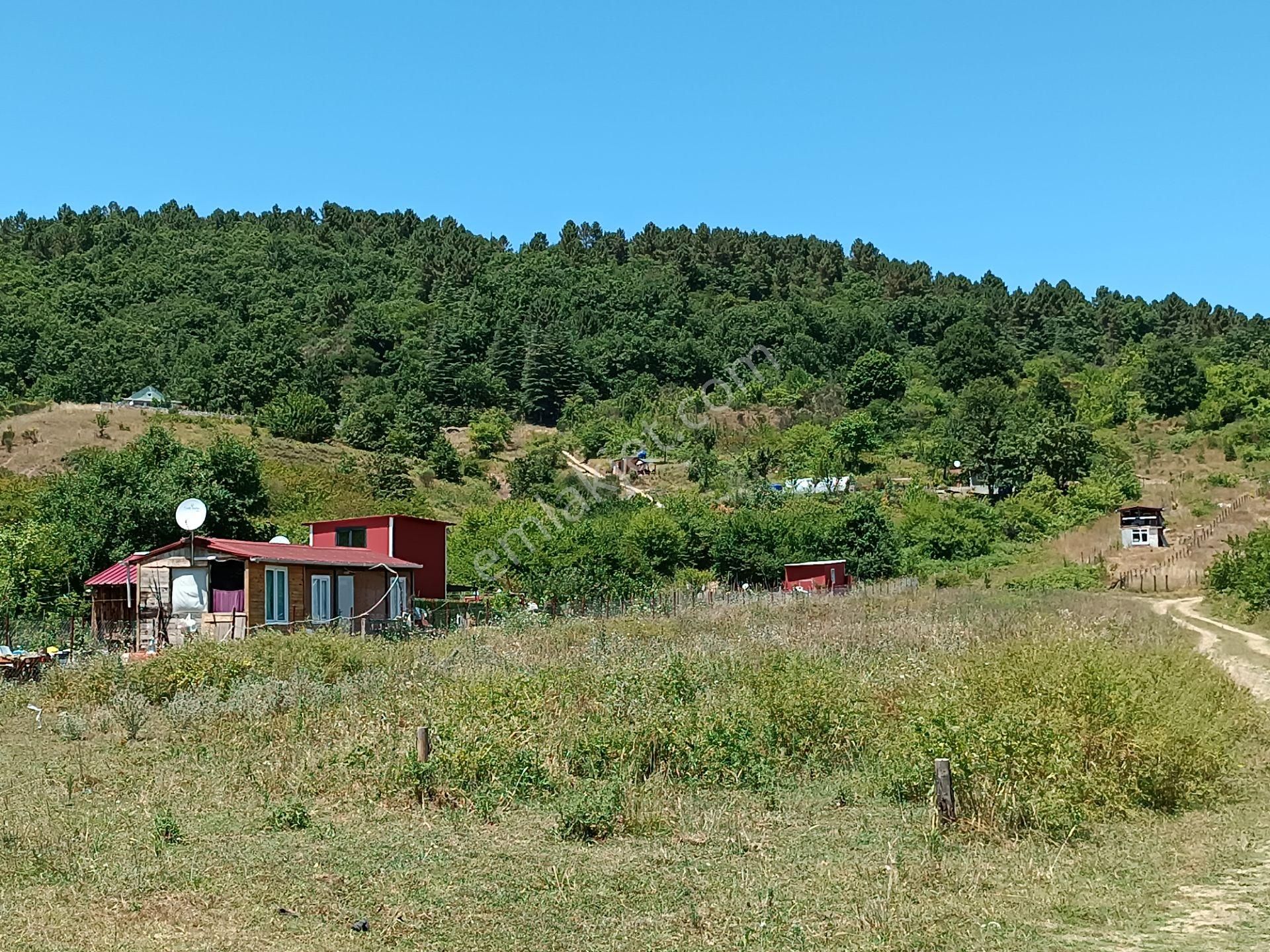 Şile Agva İsaköyde 580 Metrekare - Görsel 6