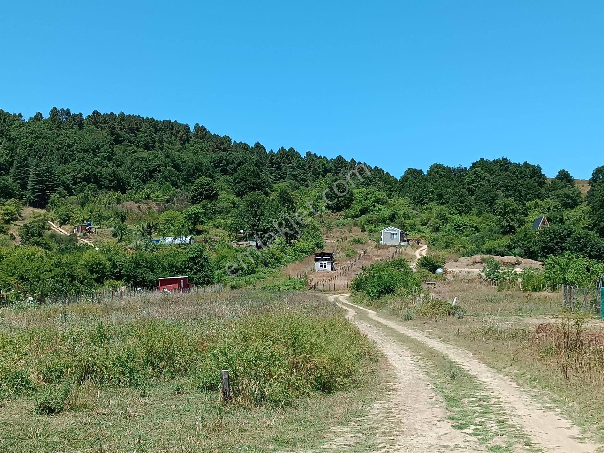 Şile Agva İsaköyde 580 Metrekare - Görsel 5