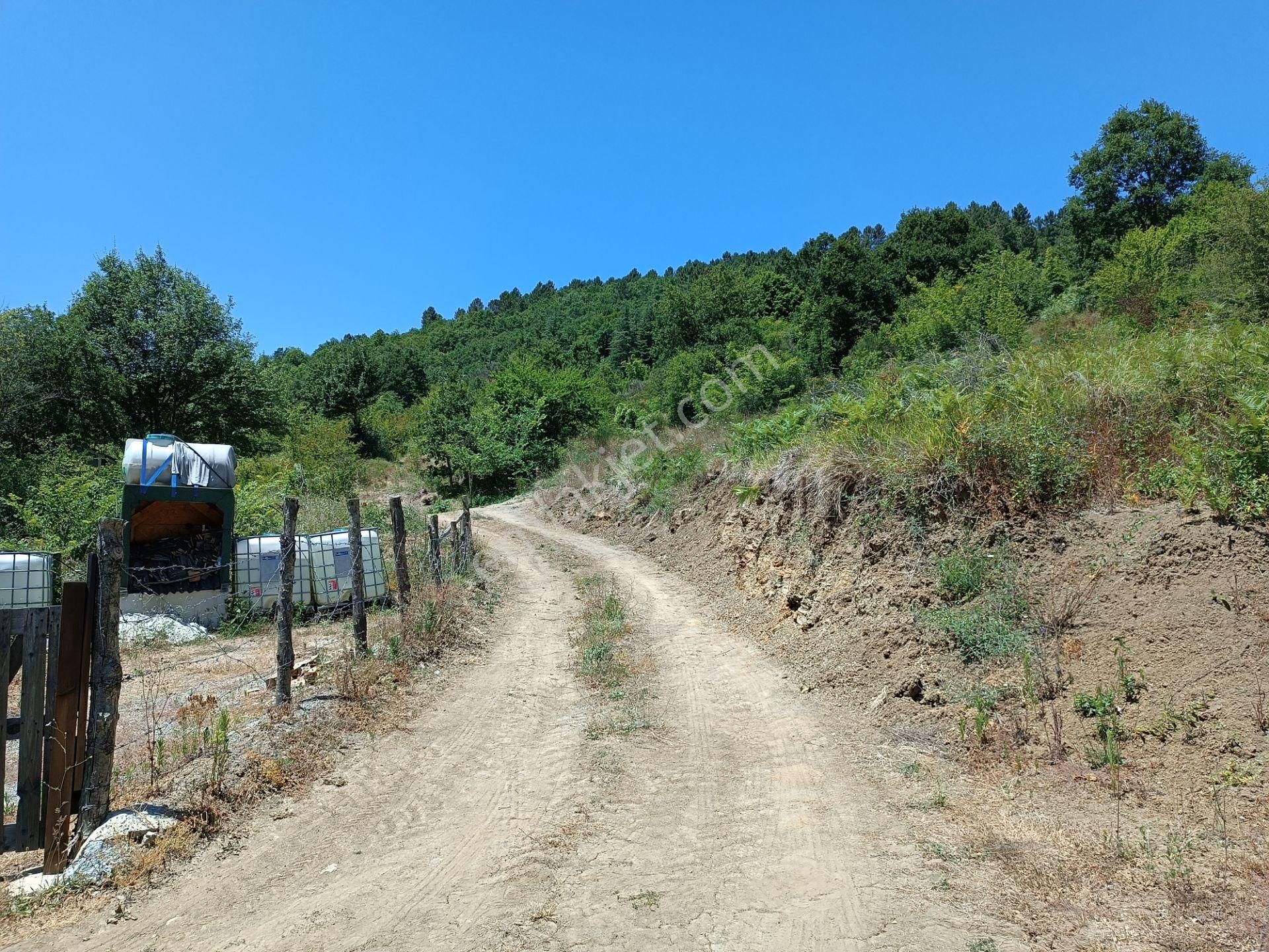 Şile Agva İsaköyde 580 Metrekare - Görsel 4