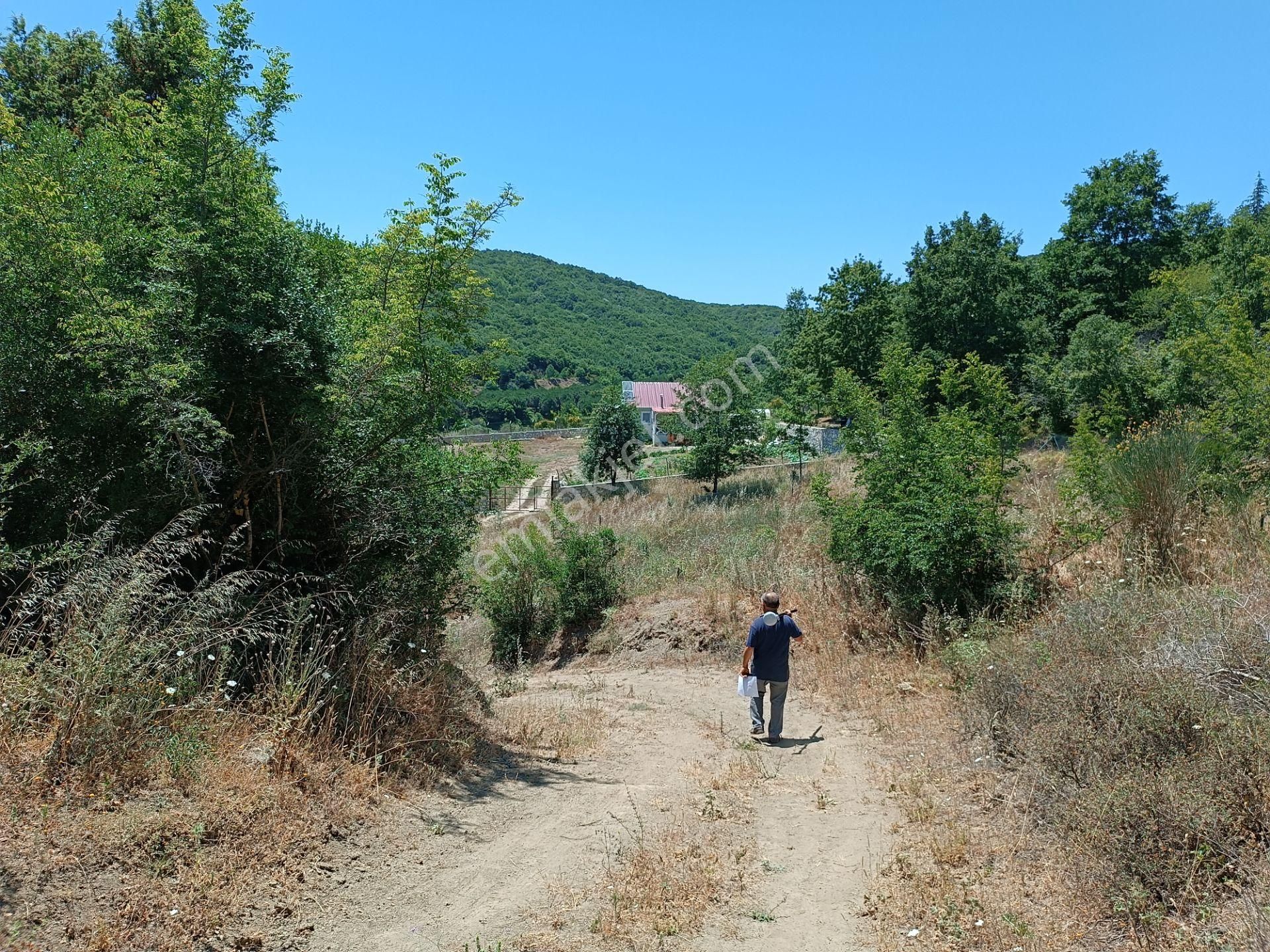 Şile Agva İsaköyde 580 Metrekare - Görsel 2