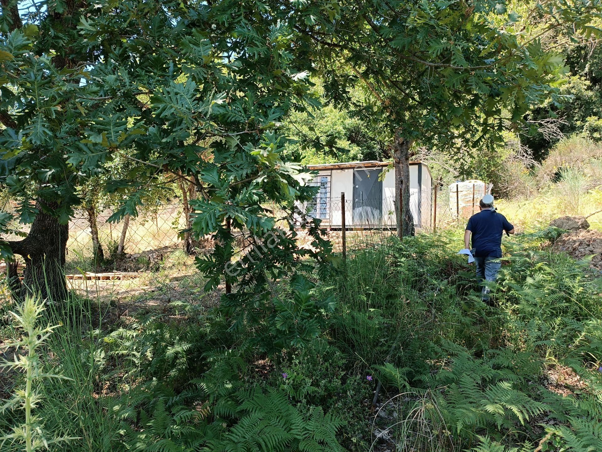 Şile Agva İsaköyde 580 Metrekare - Görsel 7