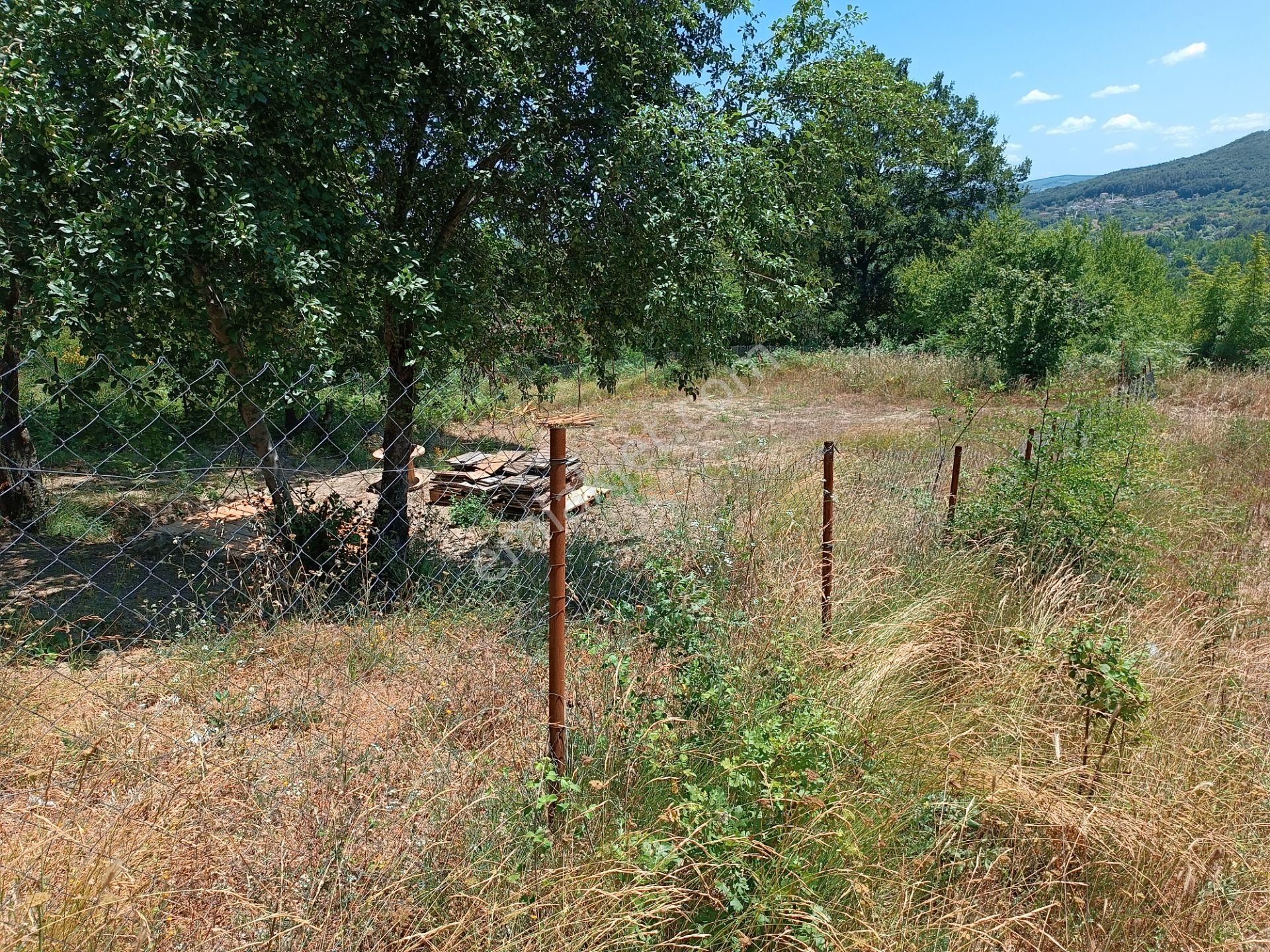 Şile Agva İsaköyde 580 Metrekare - Görsel 9