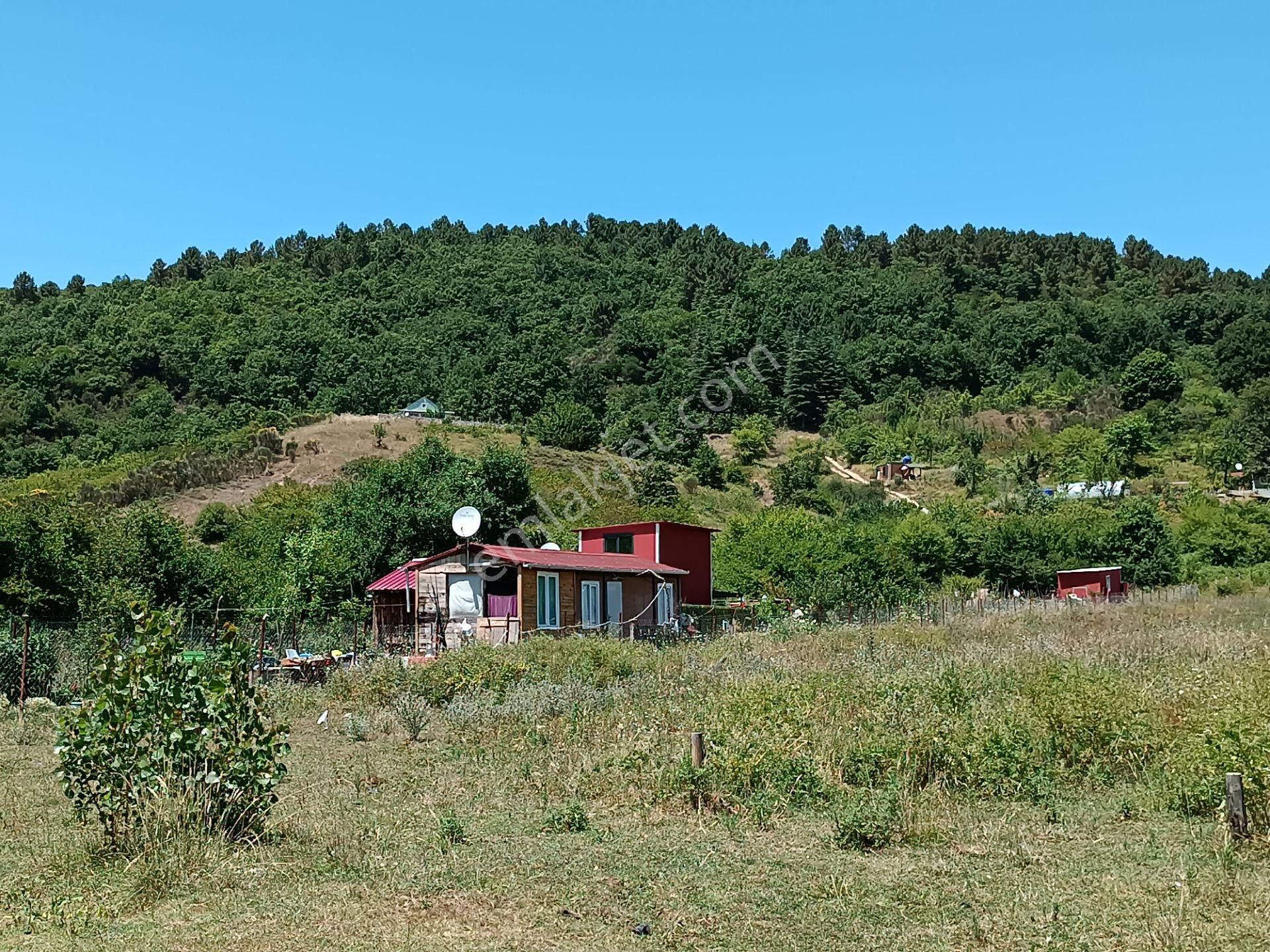 Şile Agva İsaköyde 580 Metrekare - Görsel 20