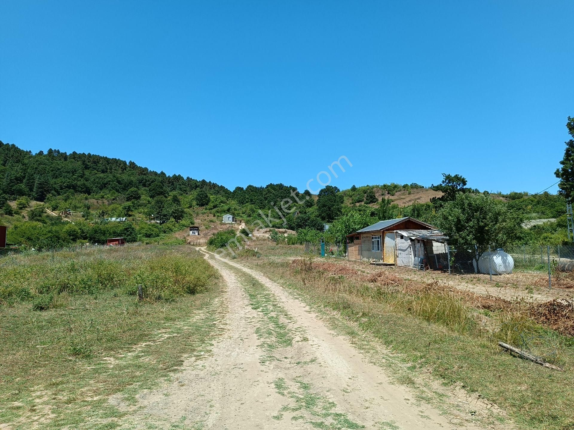 Şile Agva İsaköyde 580 Metrekare - Görsel 14