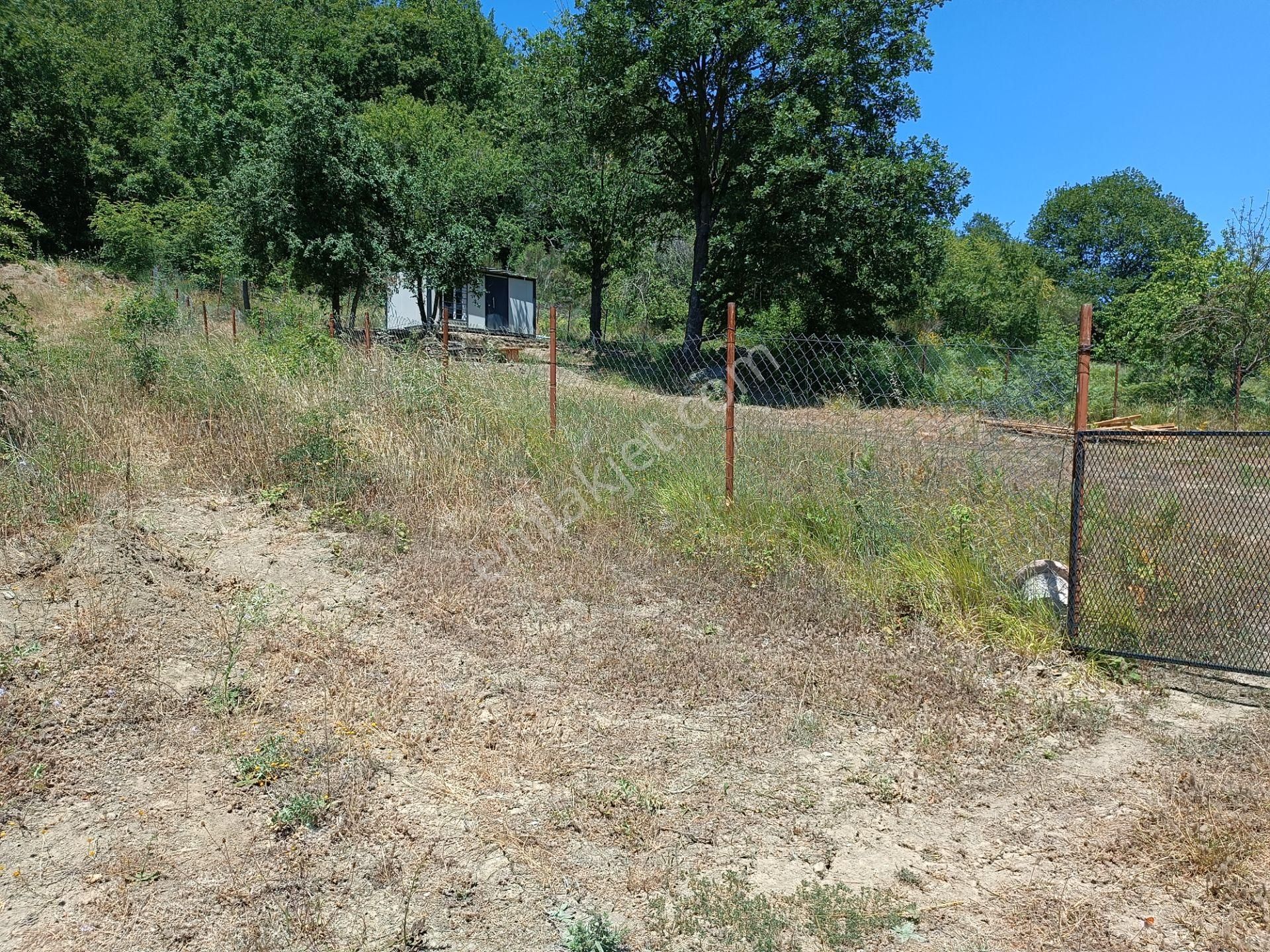 Şile Agva İsaköyde 580 Metrekare - Görsel 10