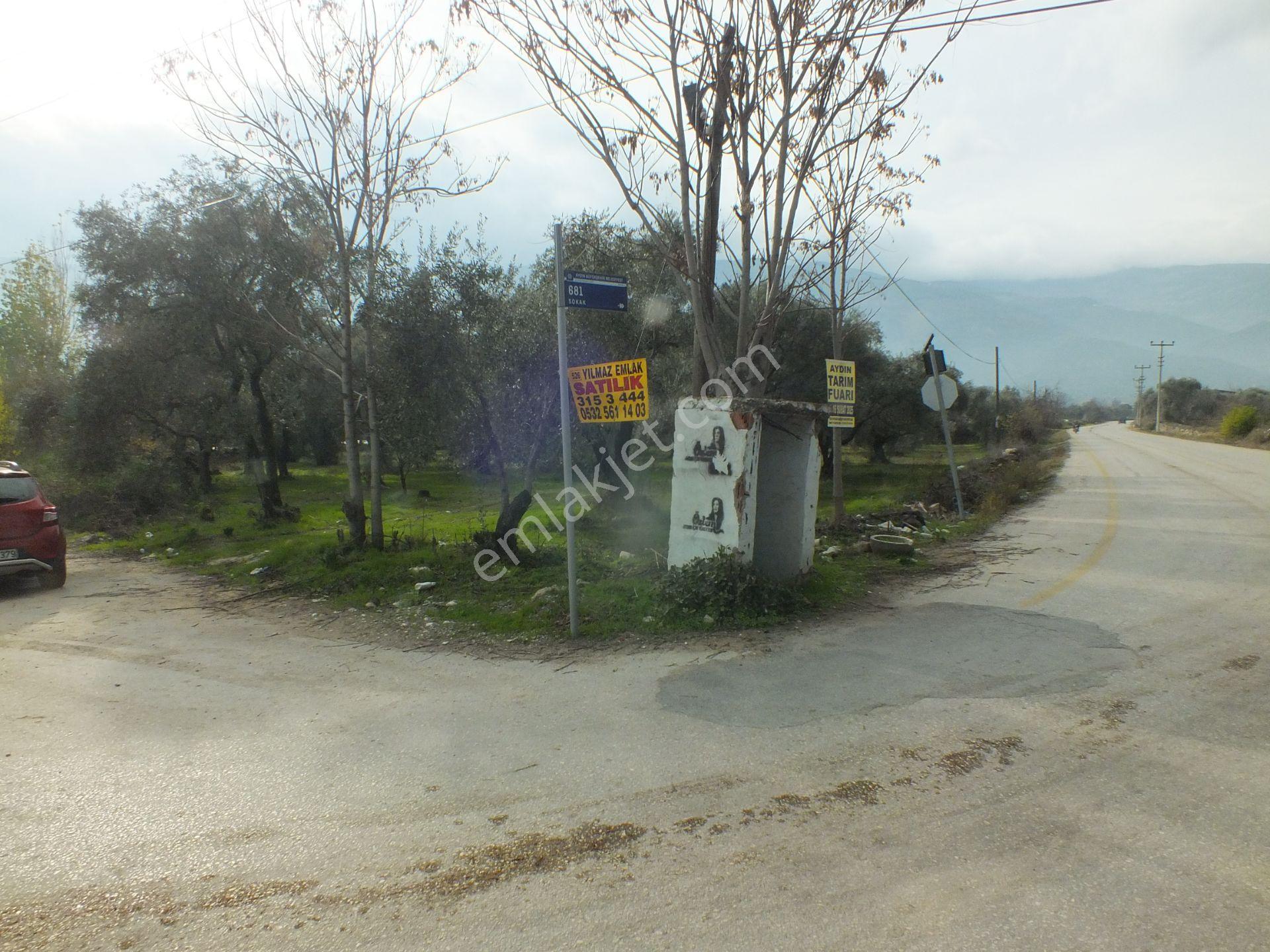 526 Aydın Bozdoğan Eymir Mahallesinde Satılık Köşe Konumlu Zeytinlik - Görsel 14